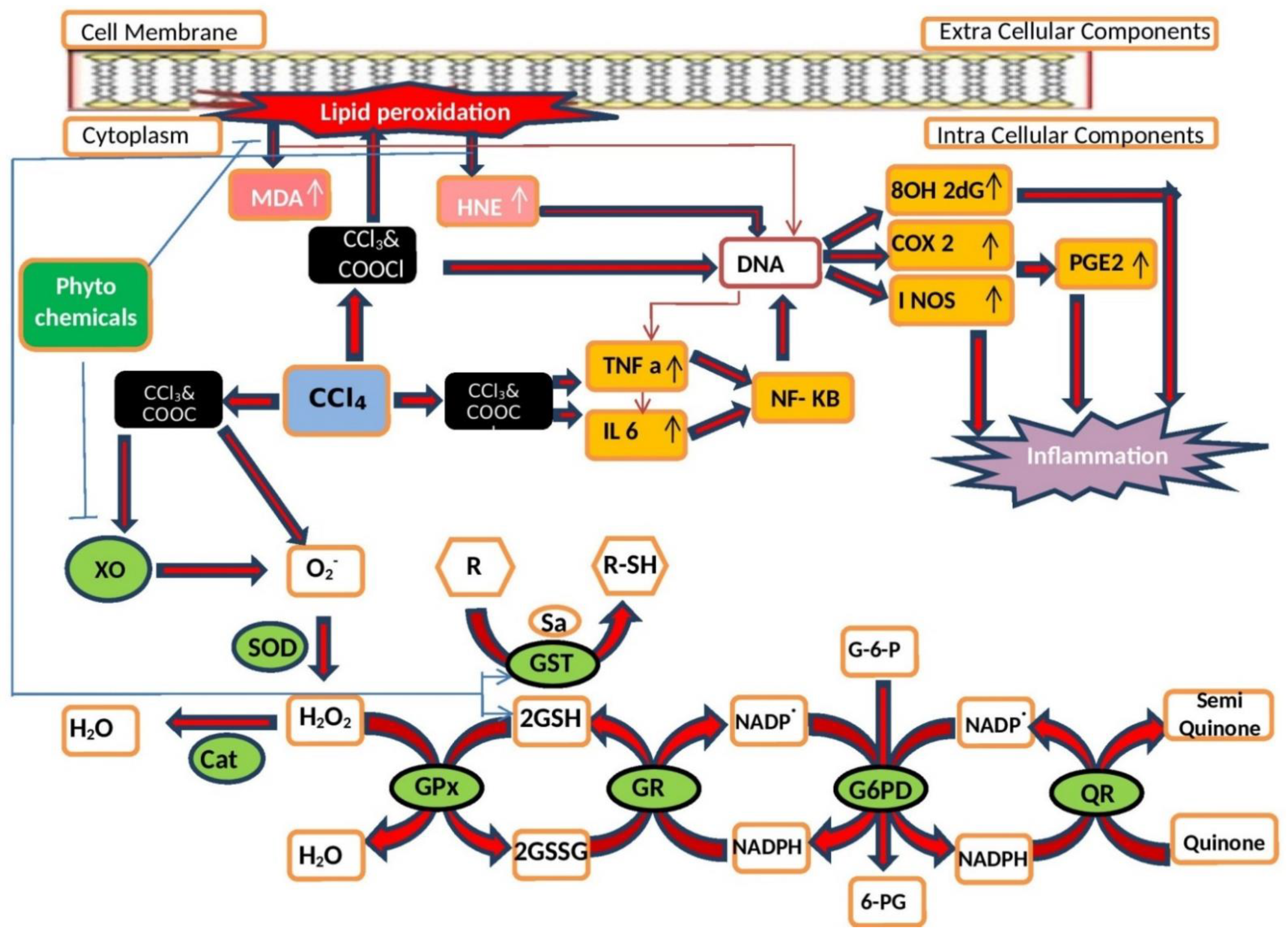 Molecules 27 01533 g001