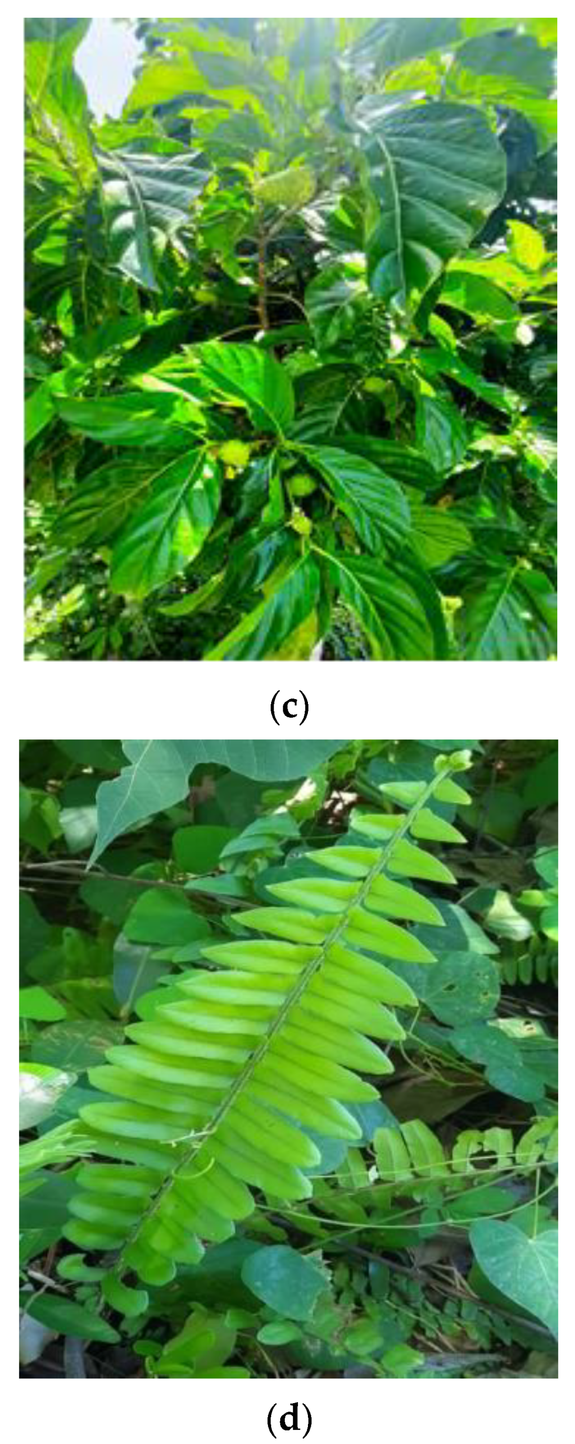Molecules 27 01533 g002b