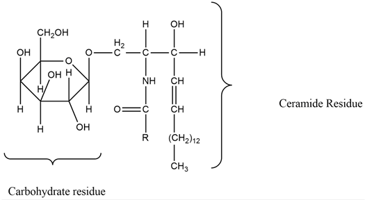 Molecules 27 01539 i018