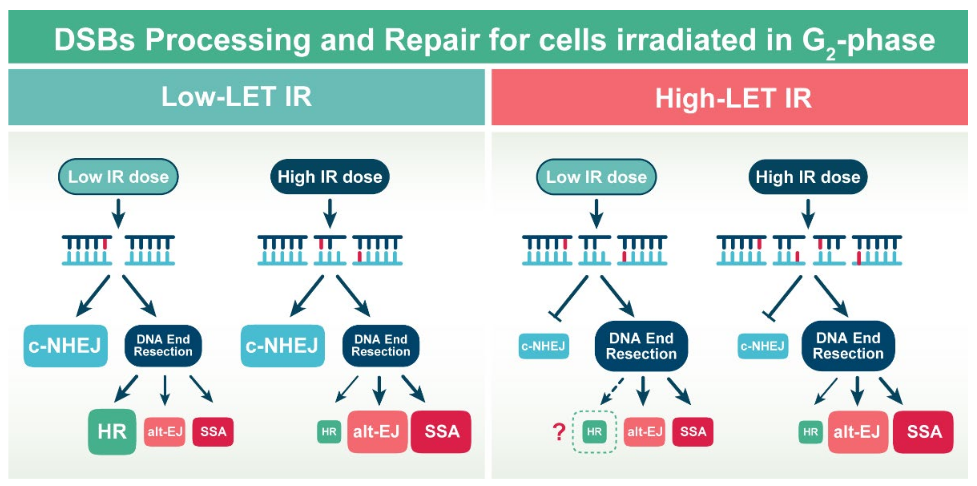 Molecules 27 01540 g004