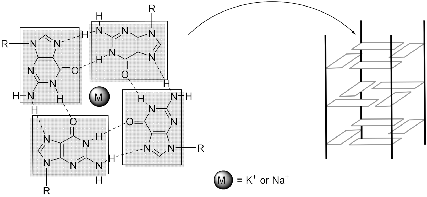Molecules 27 01541 g001 Molecules 27 01541 g001