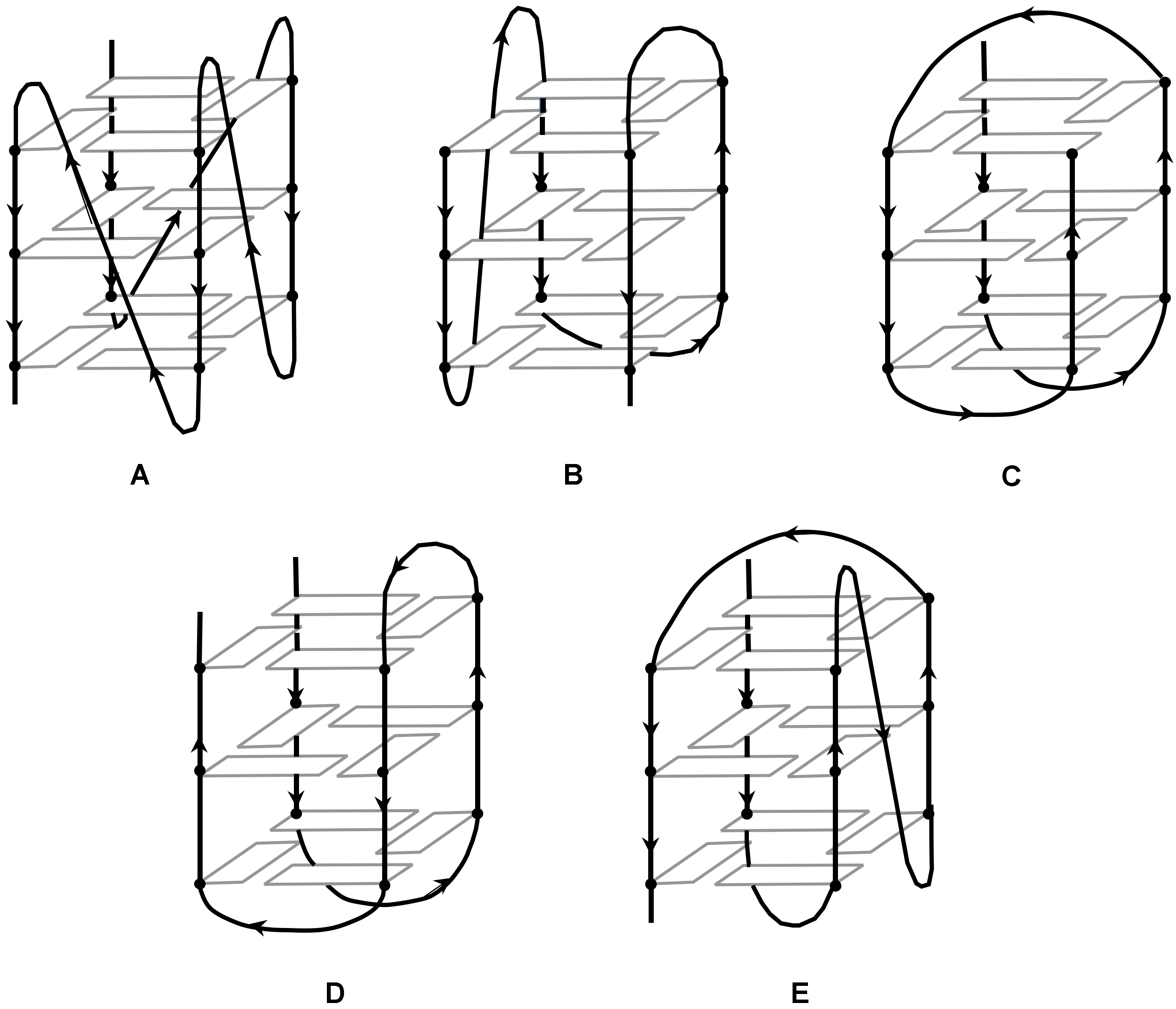 Molecules 27 01541 g002 Molecules 27 01541 g002