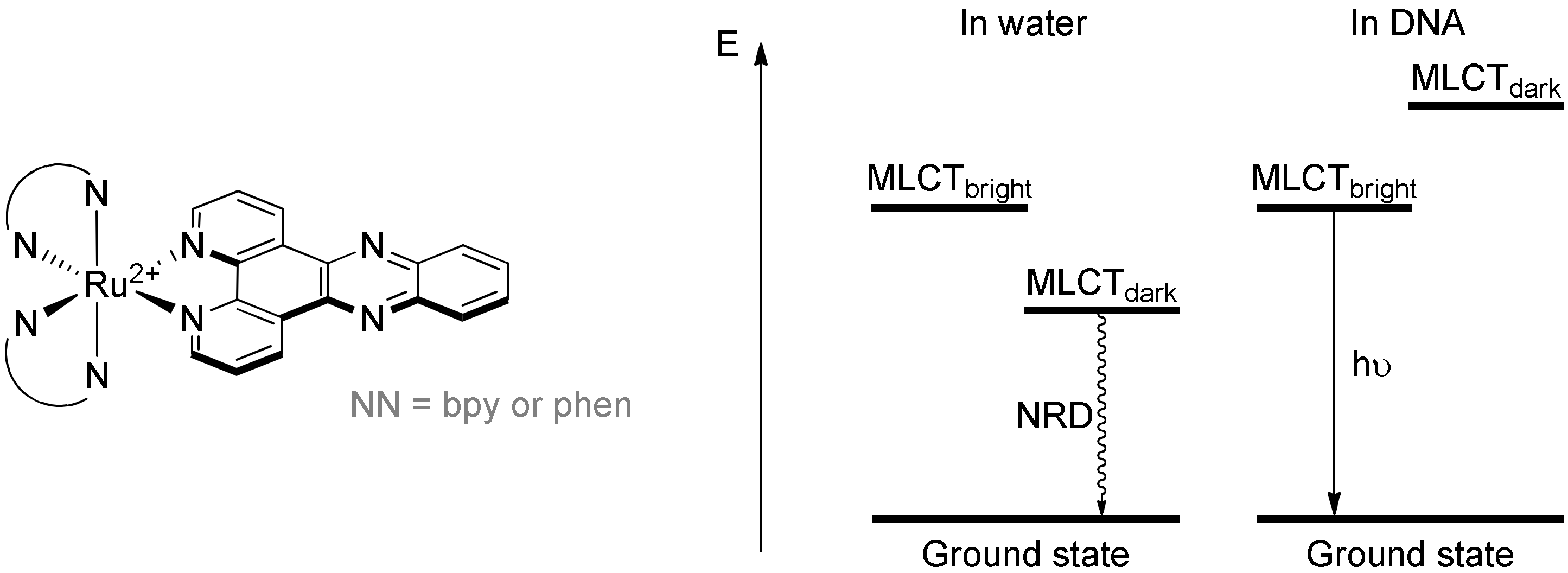 Molecules 27 01541 g013 Molecules 27 01541 g013