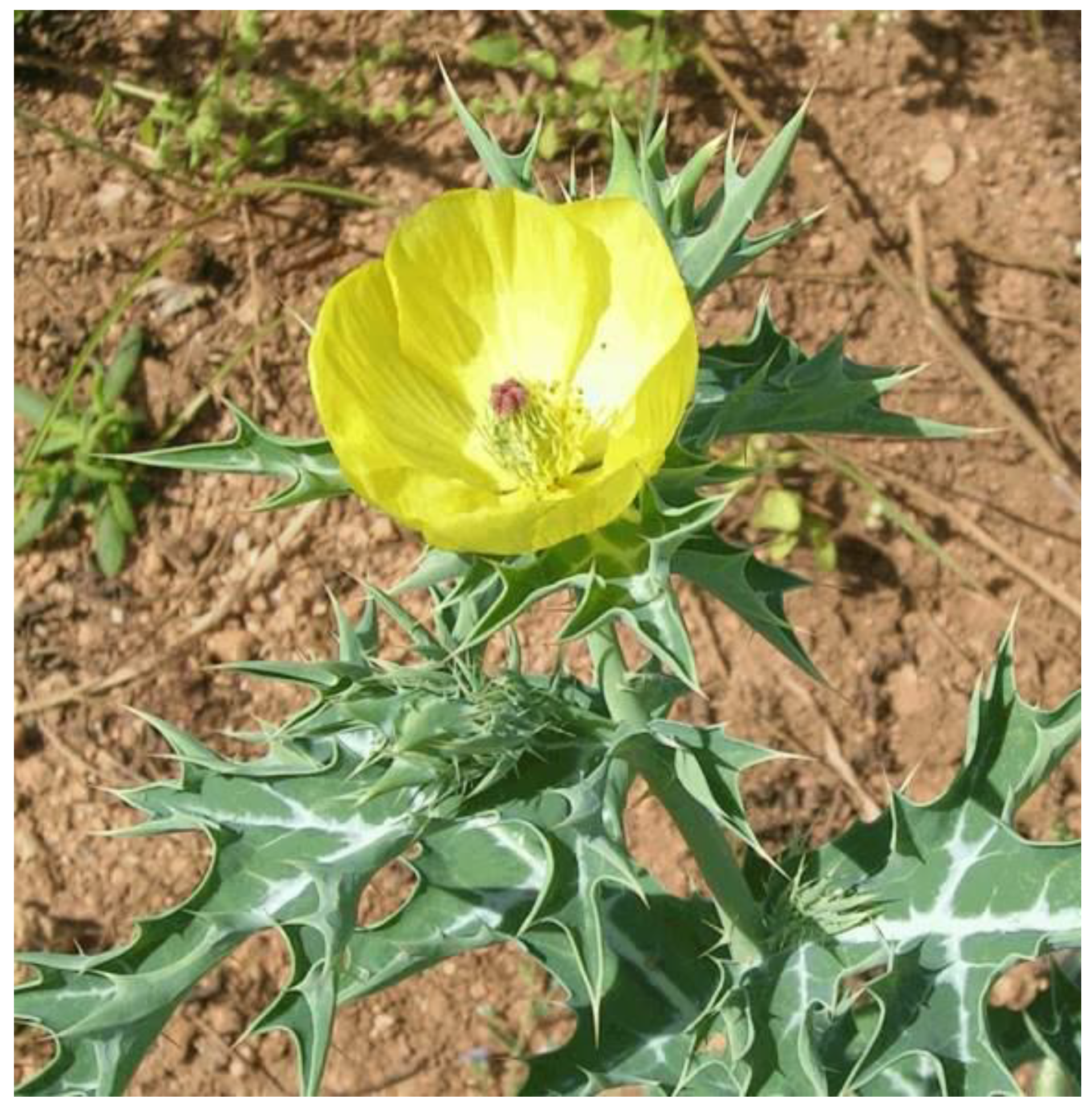 Molecules 27 01545 g001