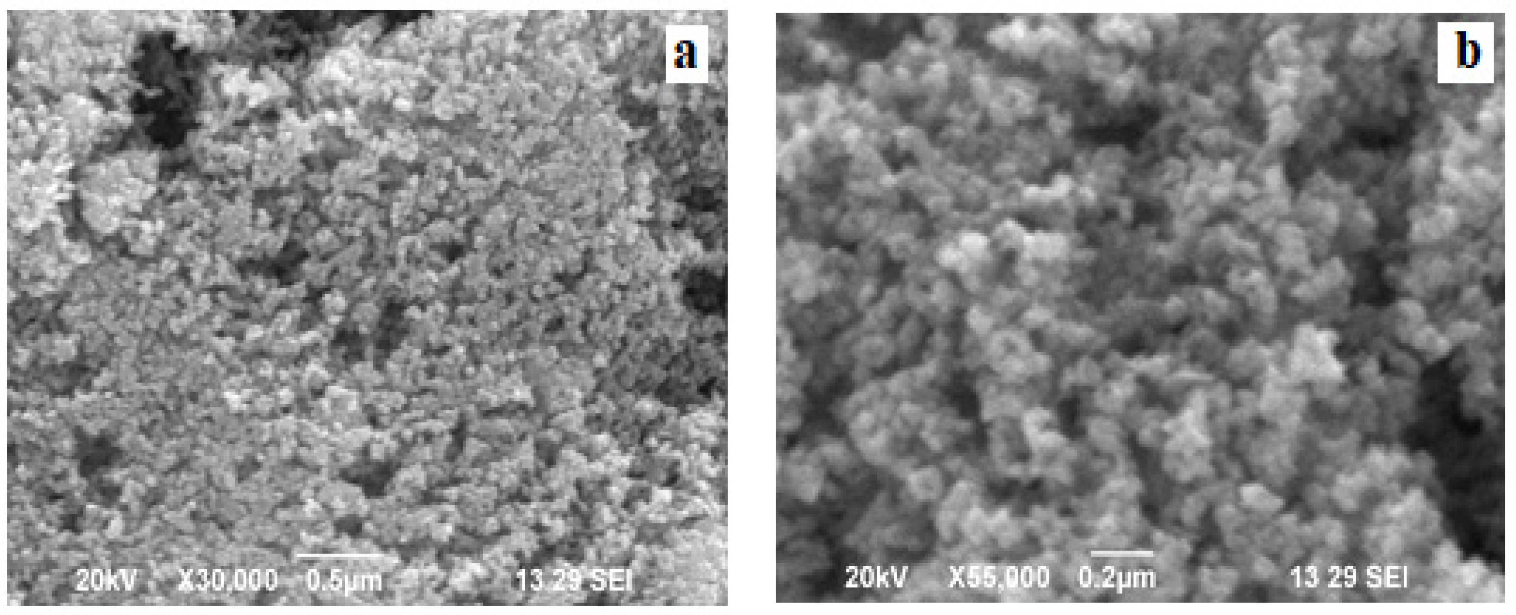 Molecules 27 01545 g004
