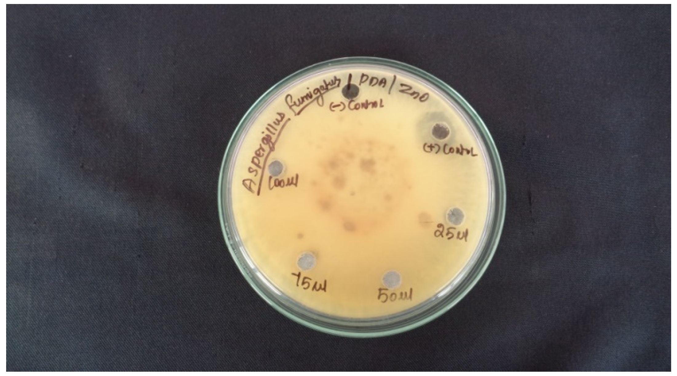 Molecules 27 01545 g007