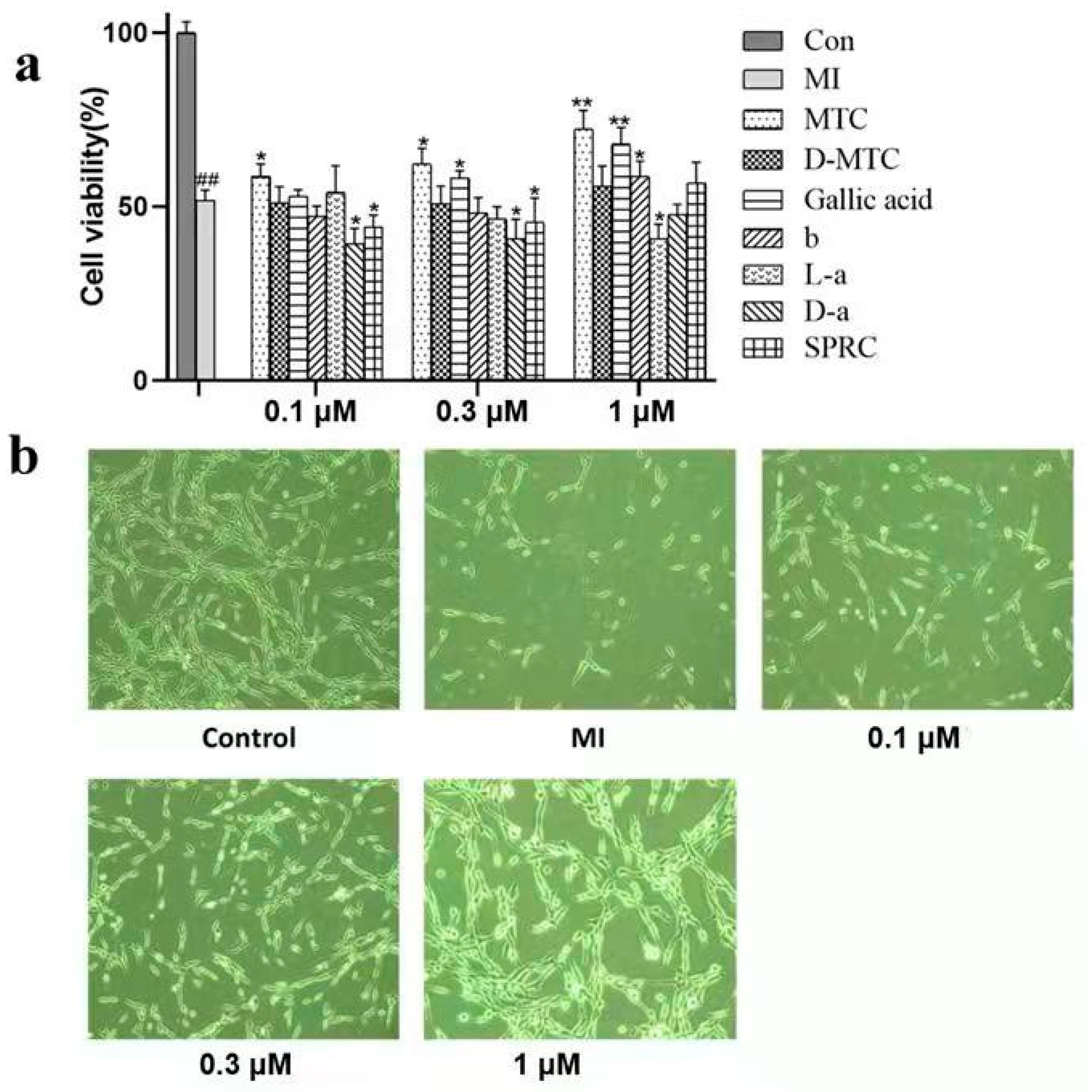 Molecules 27 01554 g001 Molecules 27 01554 g001