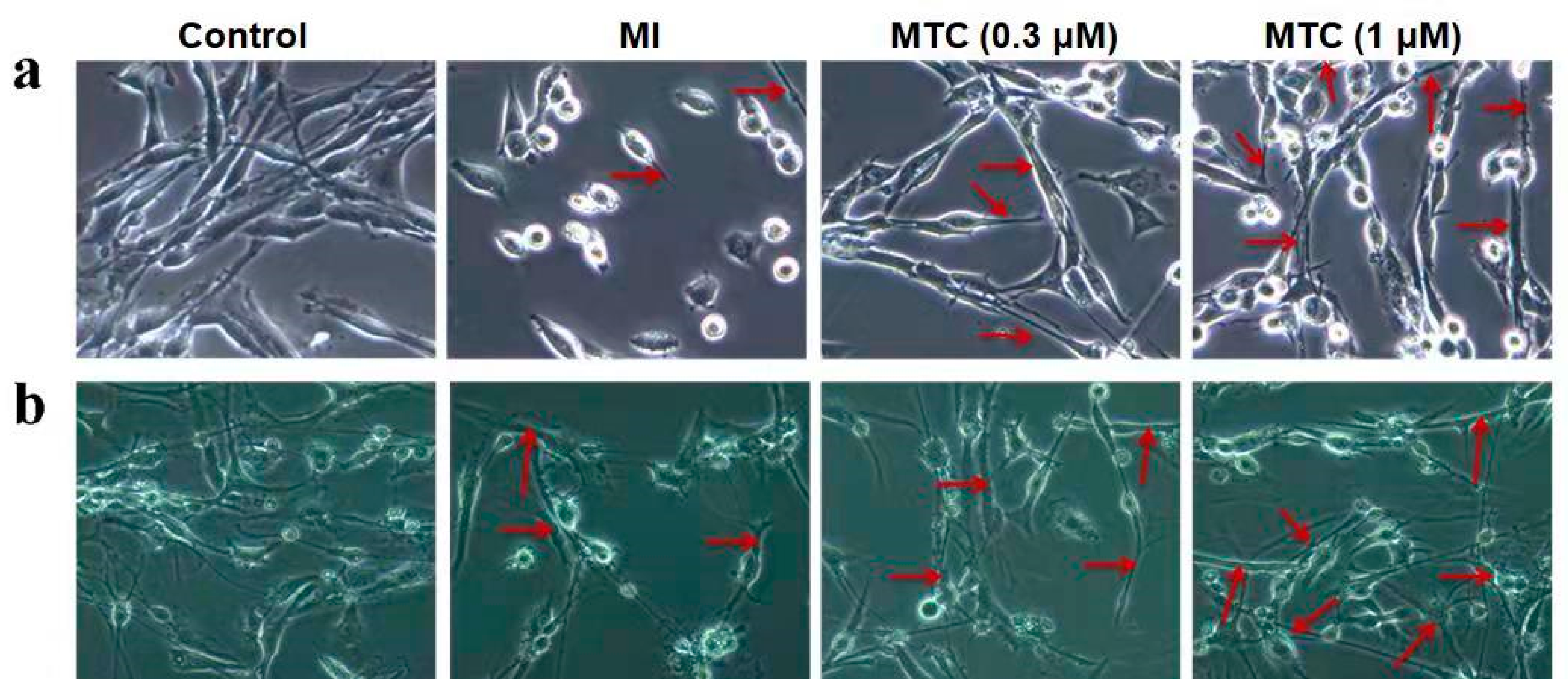 Molecules 27 01554 g006 Molecules 27 01554 g006