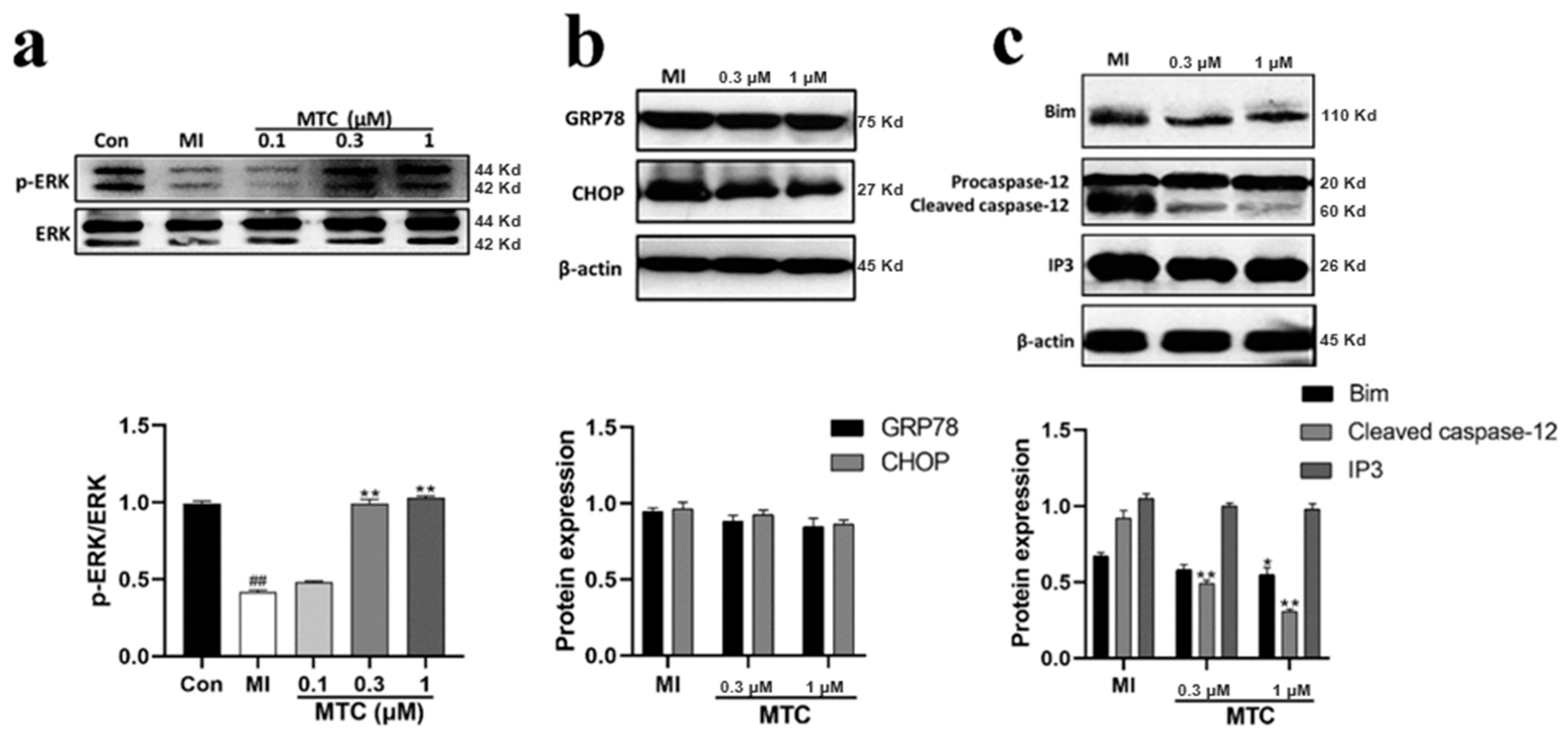 Molecules 27 01554 g007 Molecules 27 01554 g007