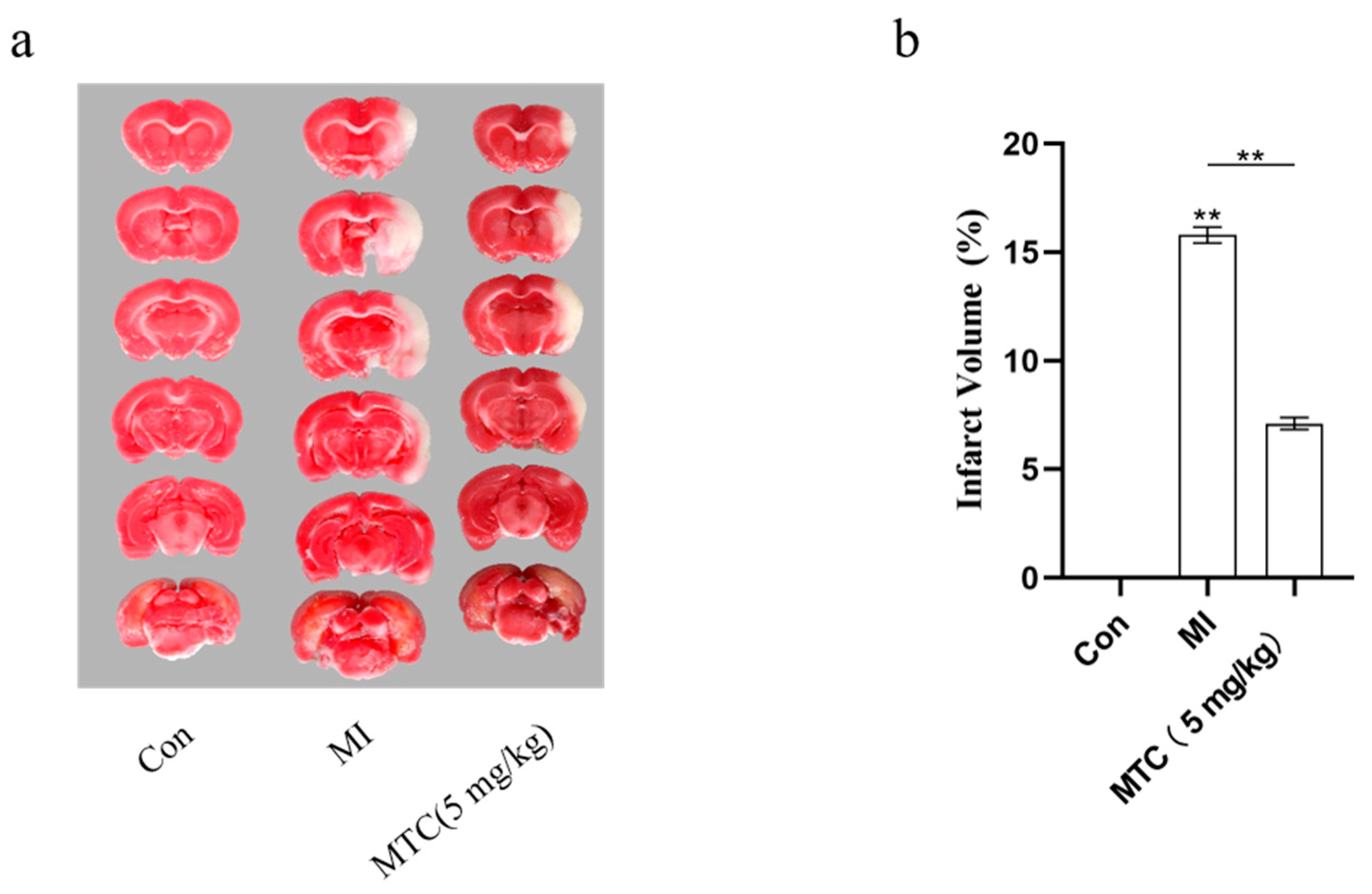 Molecules 27 01554 g008 Molecules 27 01554 g008
