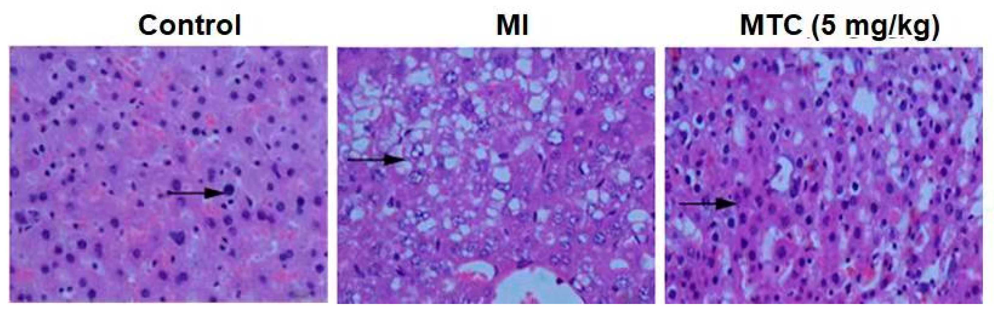 Molecules 27 01554 g009 Molecules 27 01554 g009