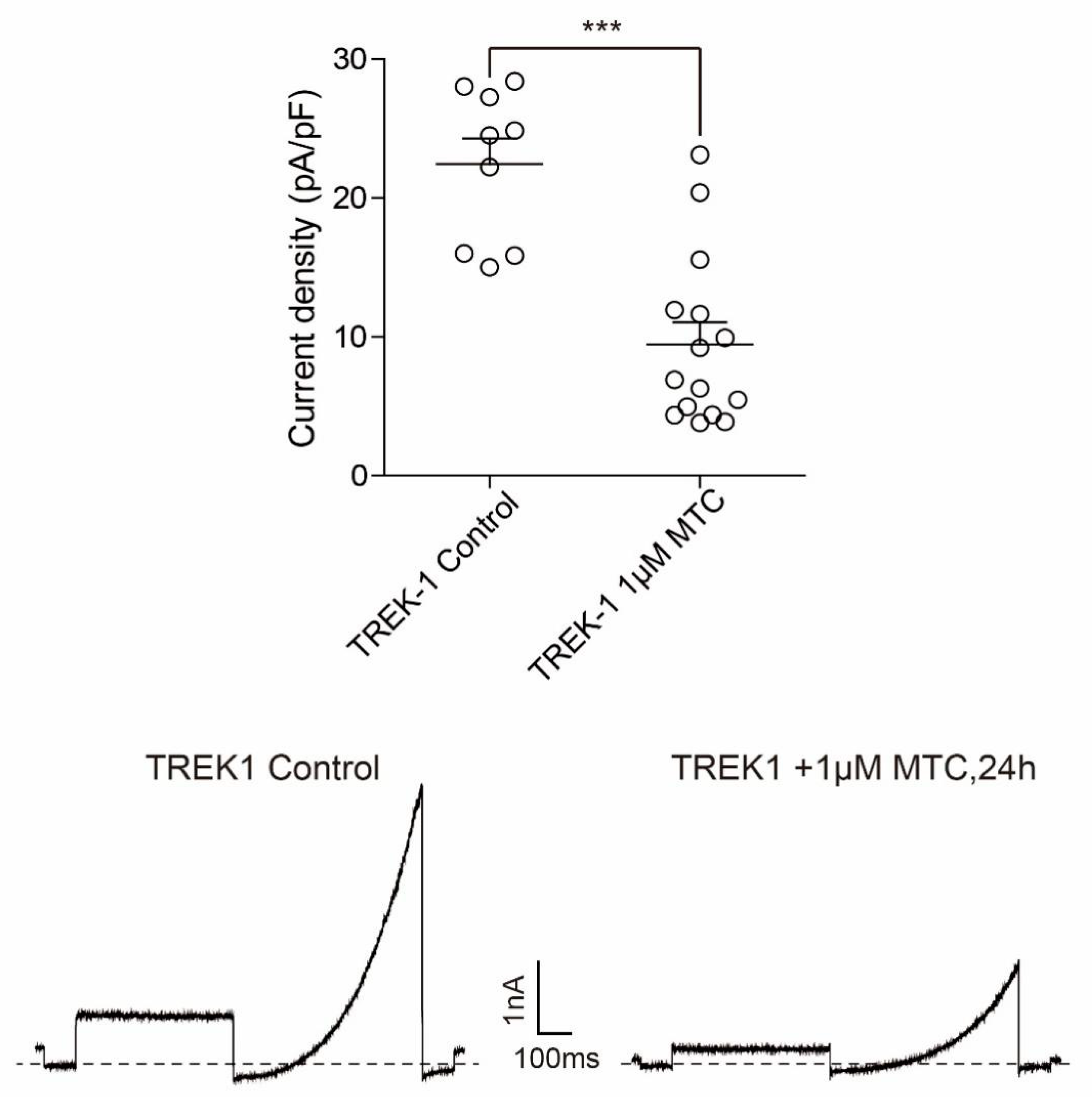 Molecules 27 01554 g010 Molecules 27 01554 g010