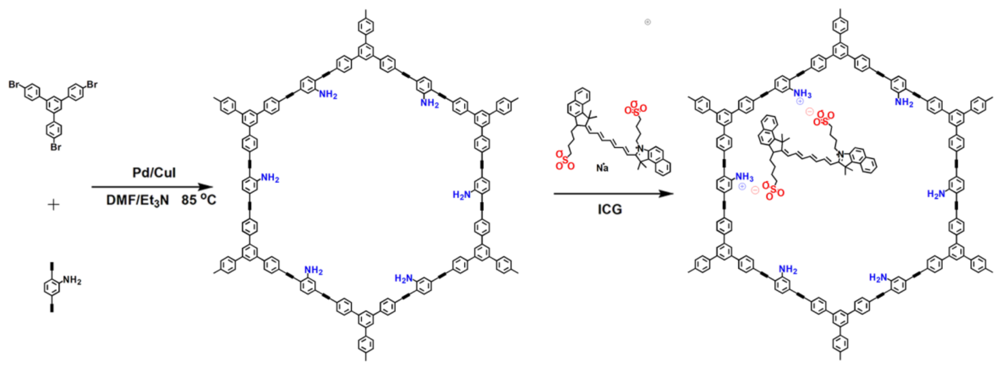 Molecules 27 01558 g001