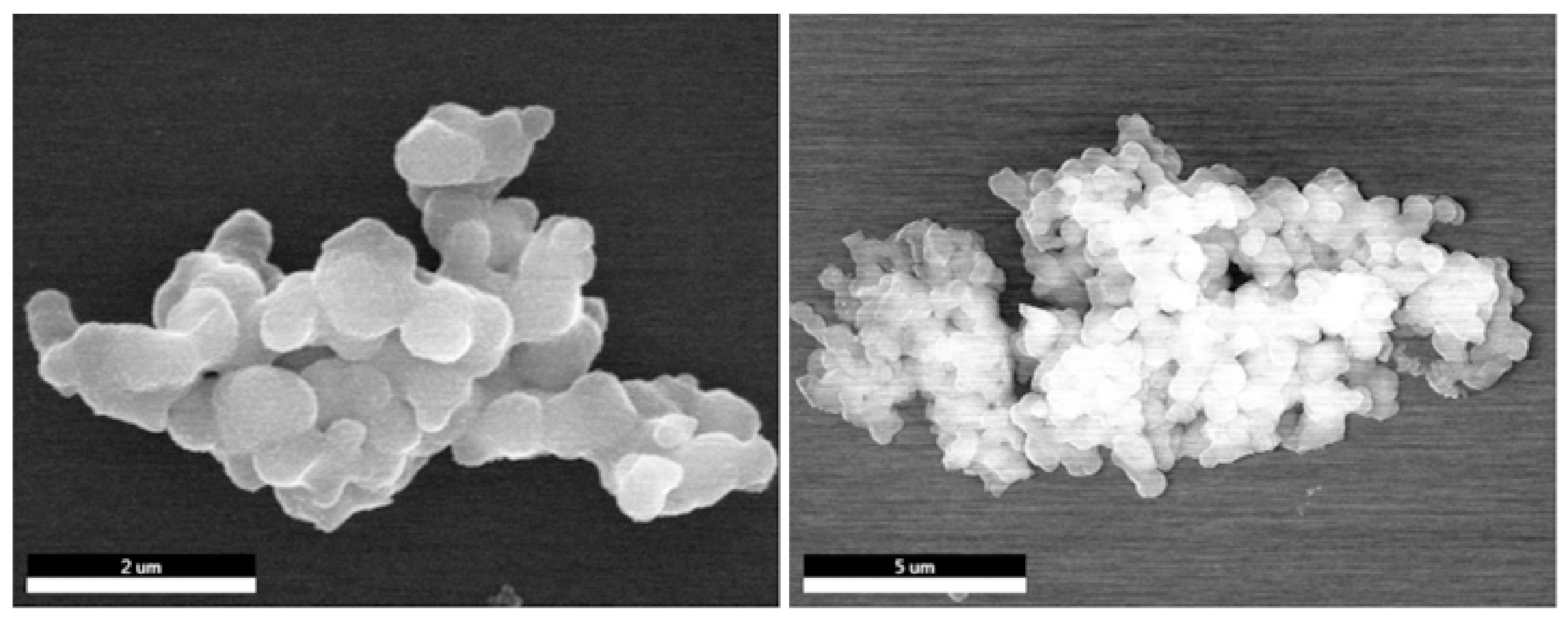 Molecules 27 01558 g004