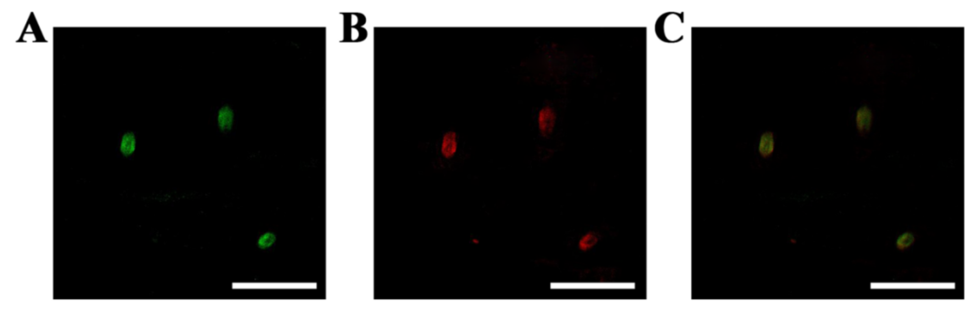 Molecules 27 01558 g006