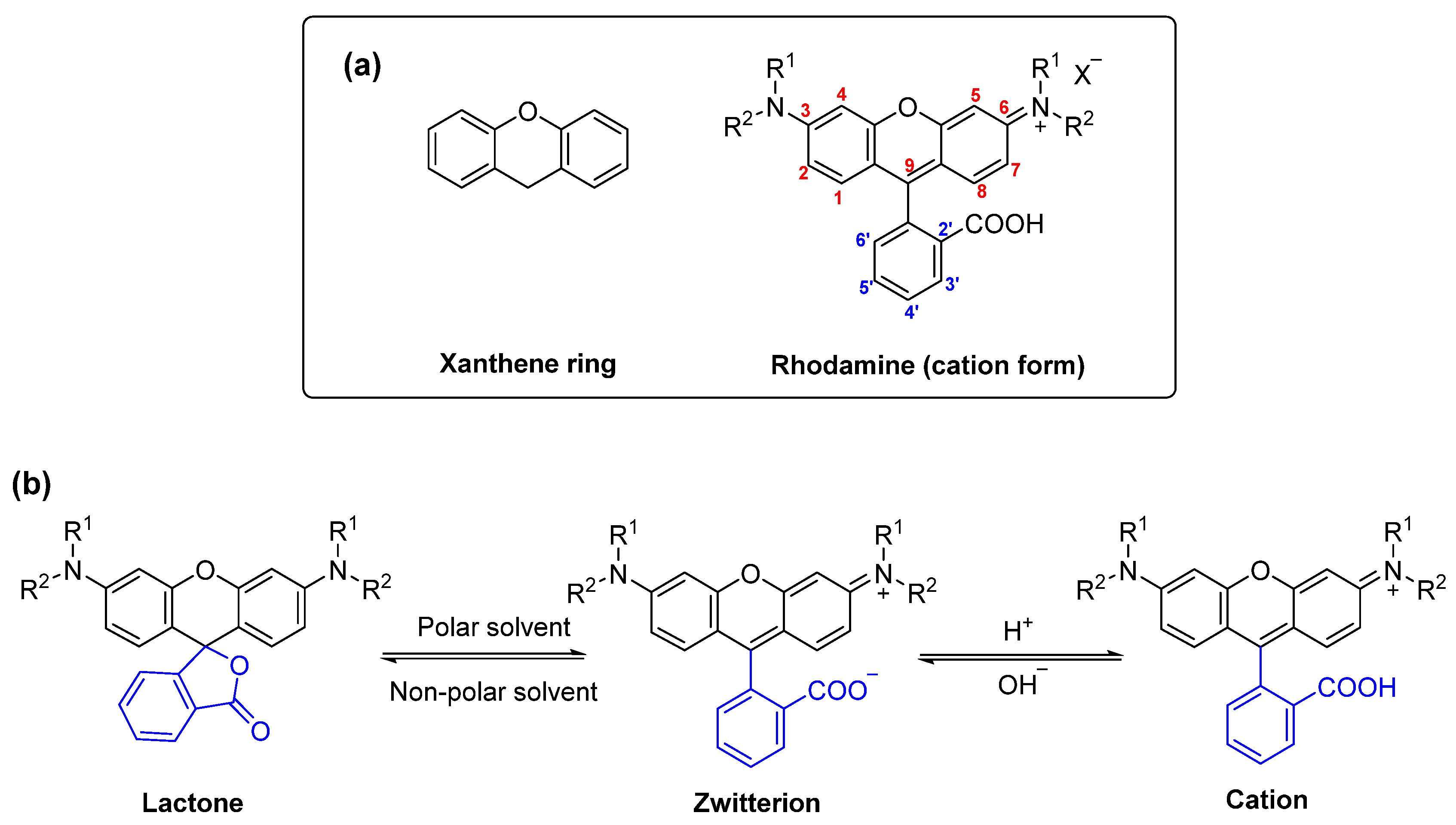 Molecules 27 01567 g001