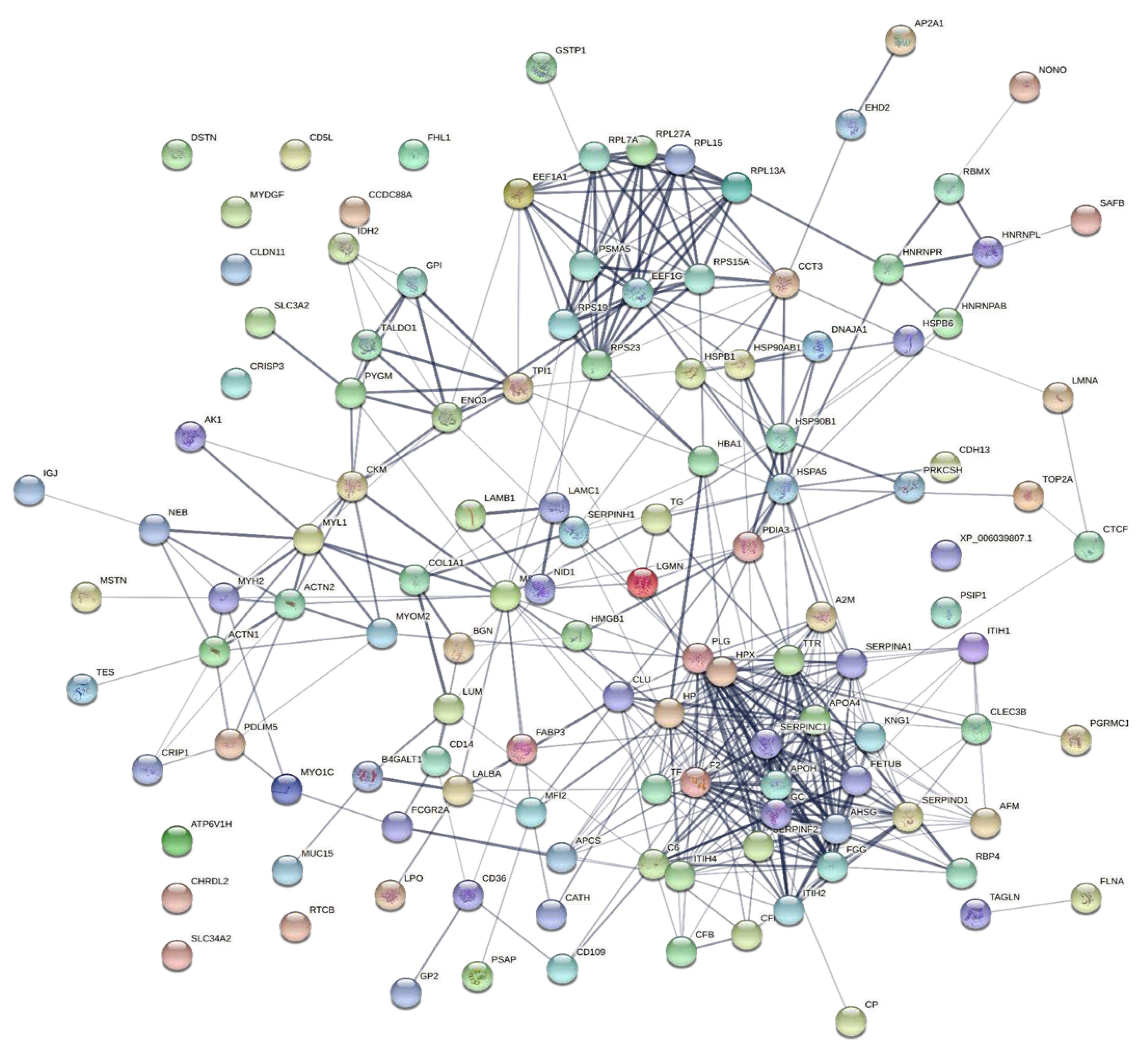 Molecules 27 01575 g004
