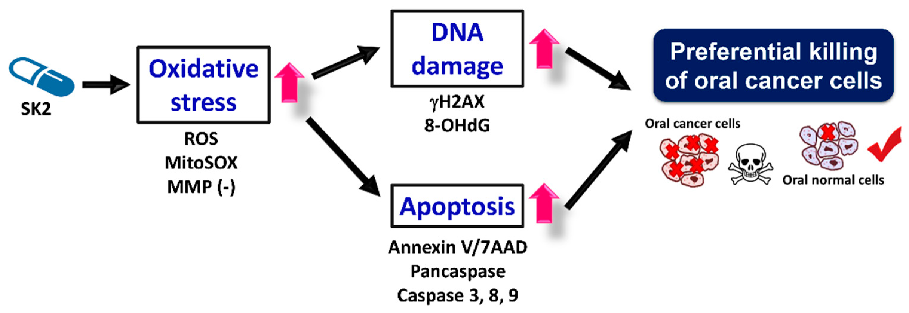 Molecules 27 01576 g010