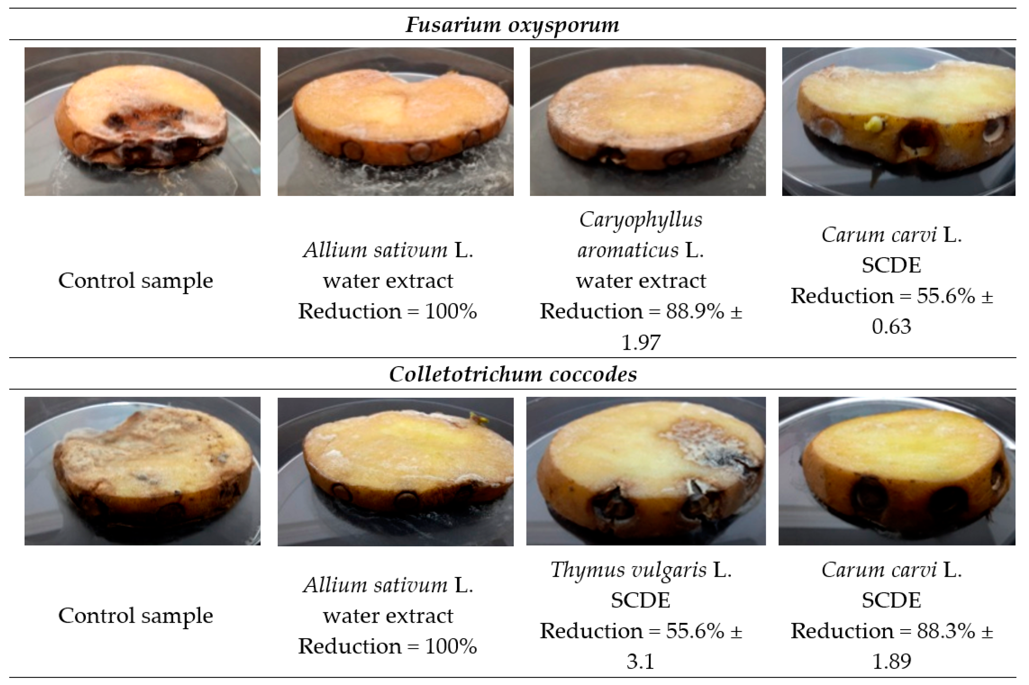 Molecules 27 01579 g004