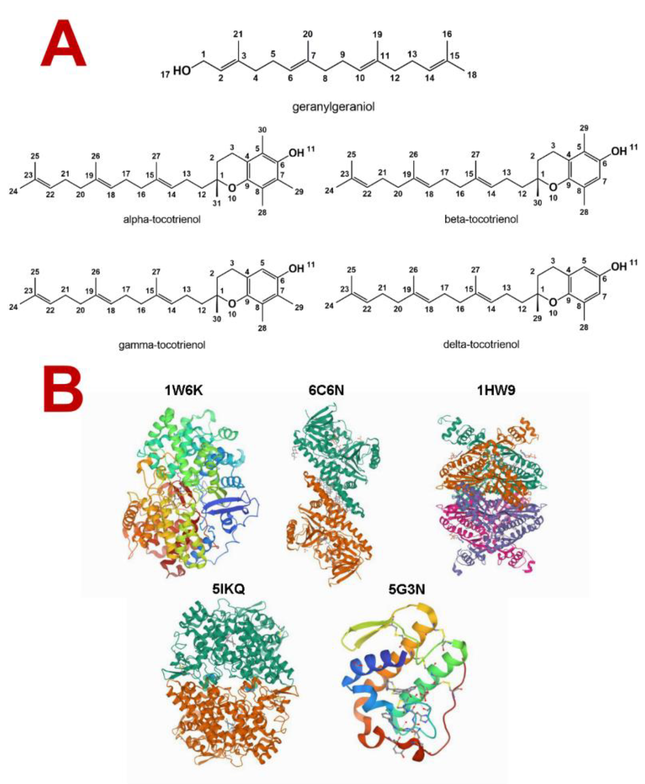 Molecules 27 01584 g001