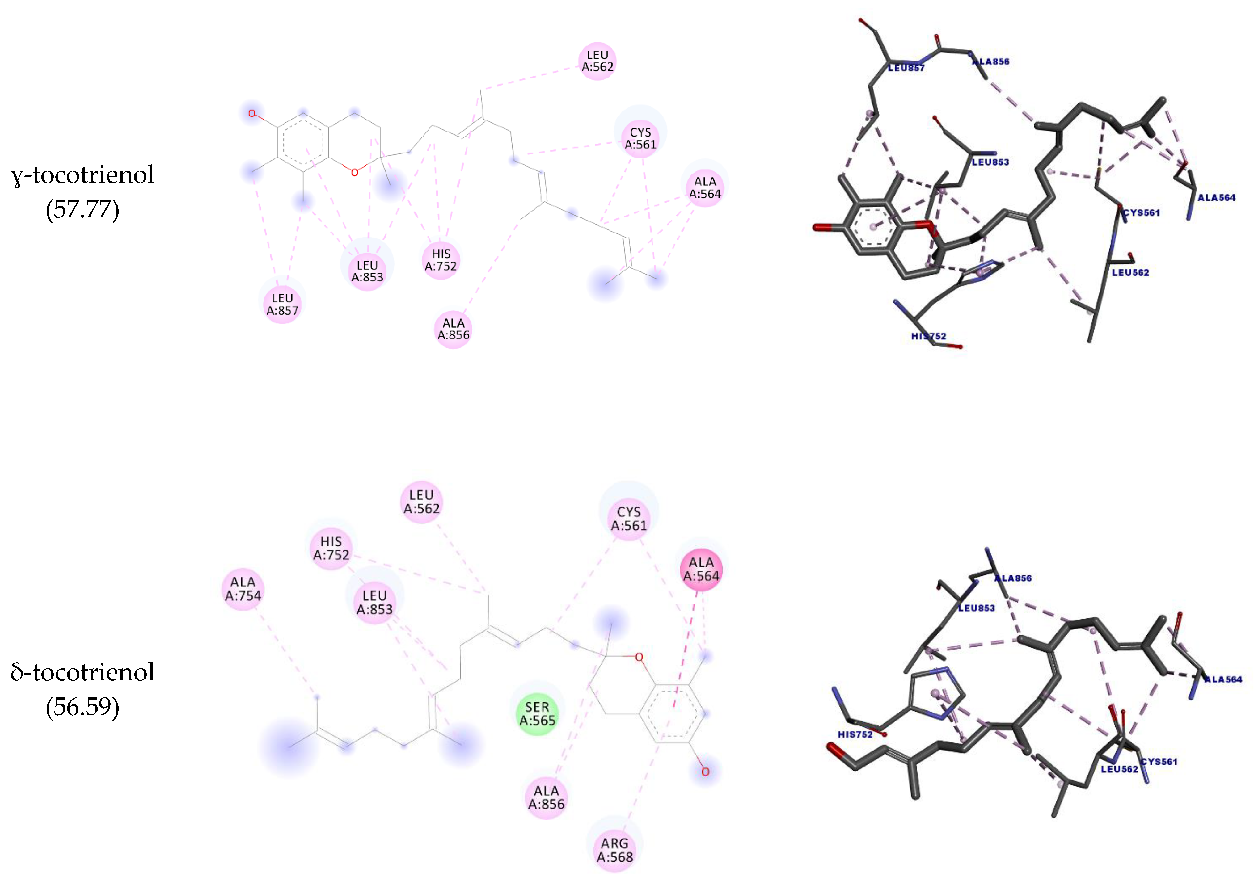 Molecules 27 01584 g004b