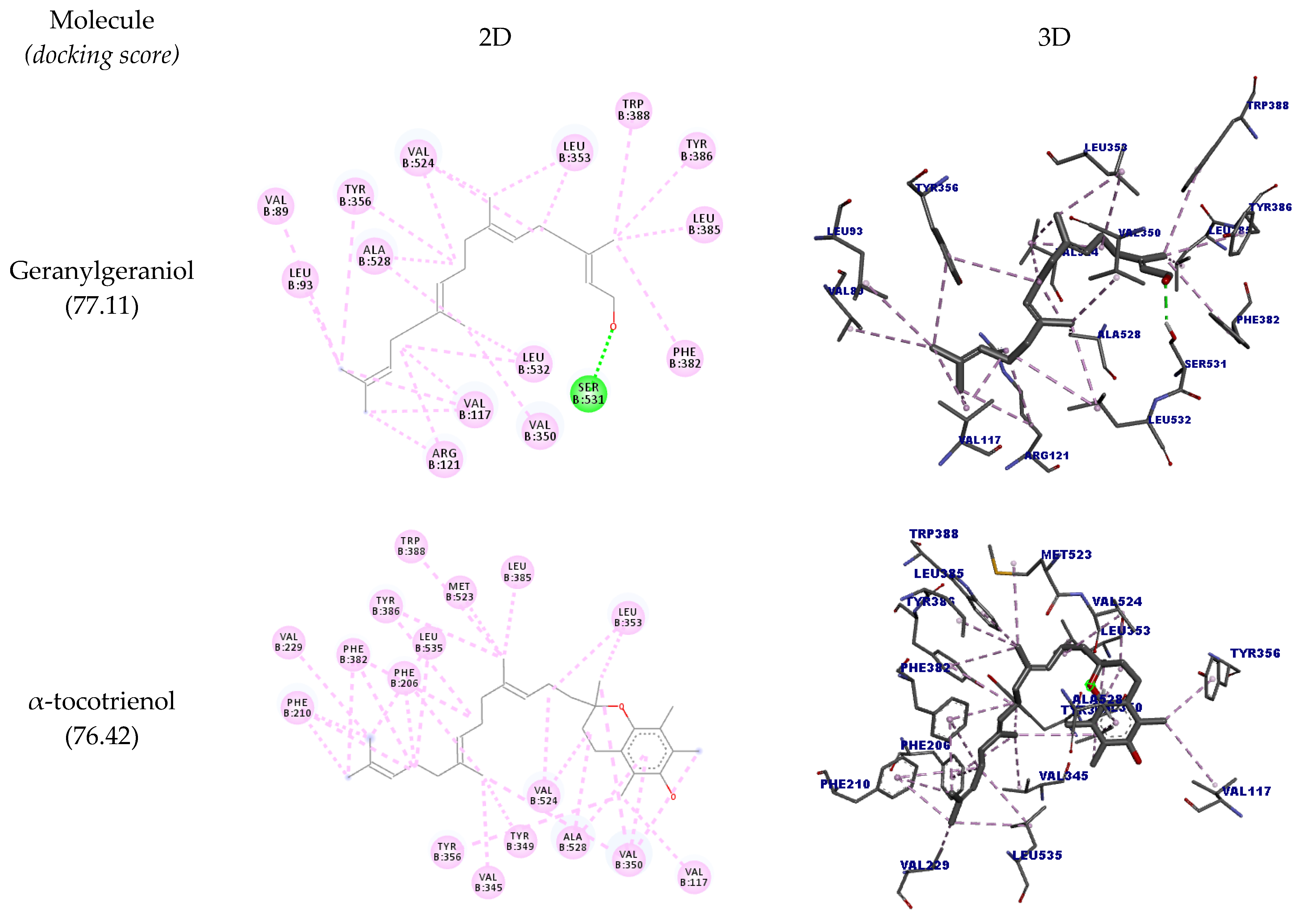 Molecules 27 01584 g005a