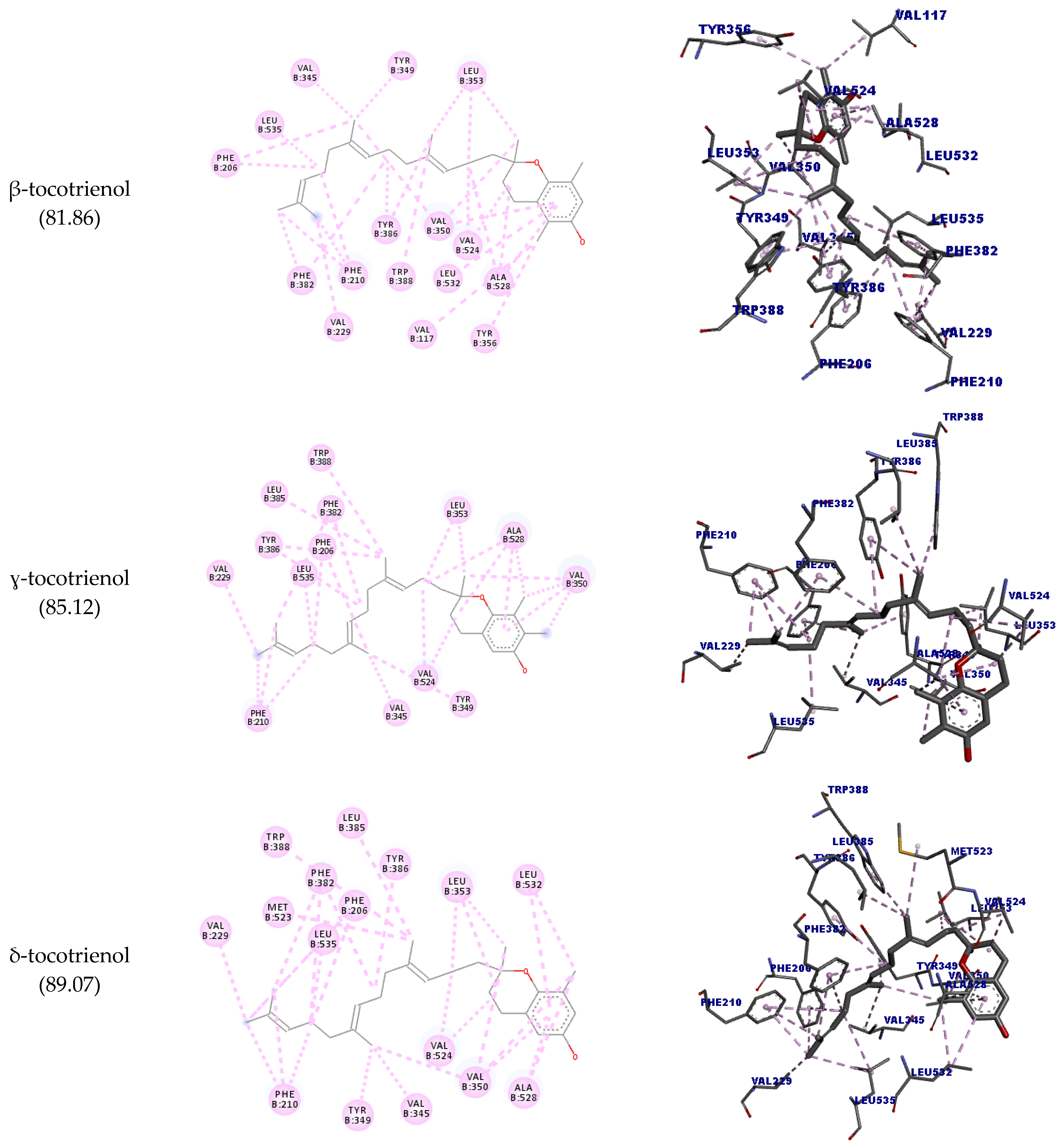 Molecules 27 01584 g005b