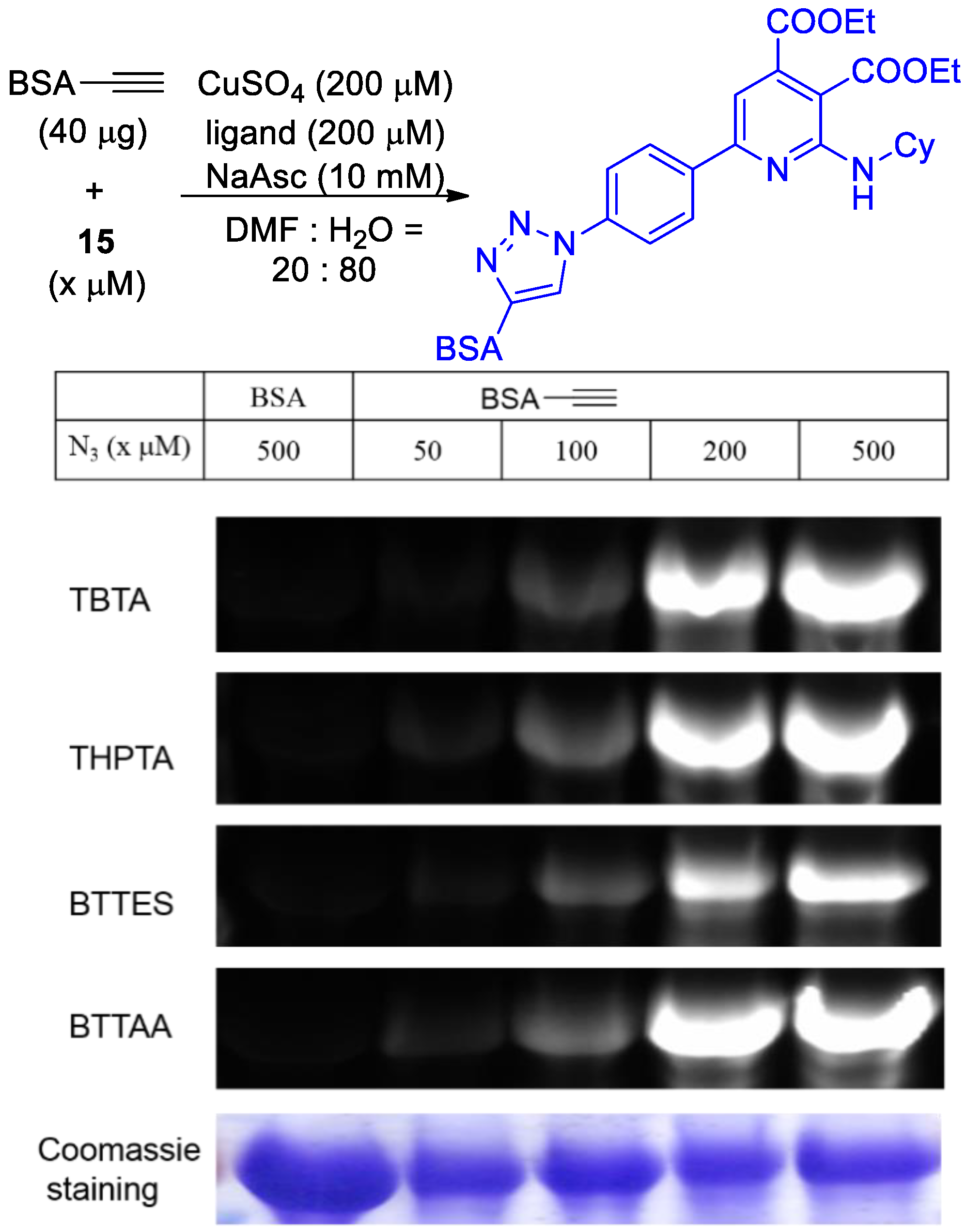 Molecules 27 01596 sch006