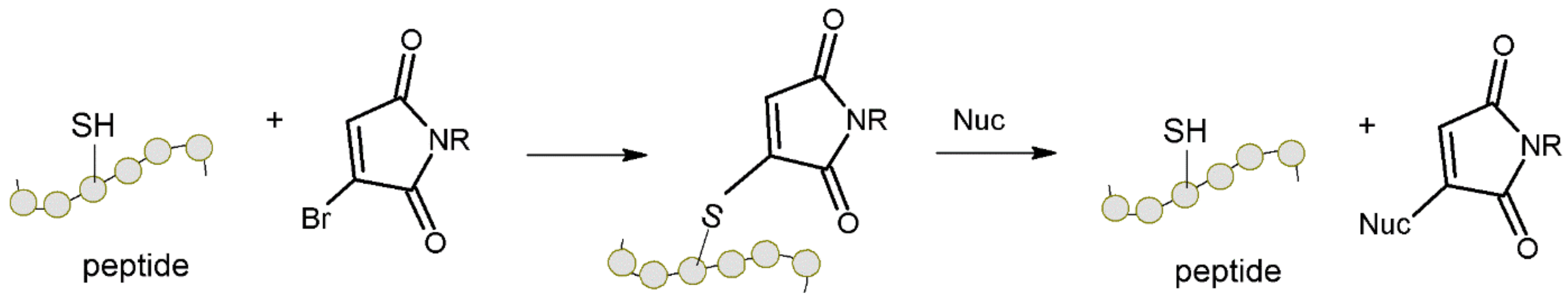 Molecules 27 01601 g003