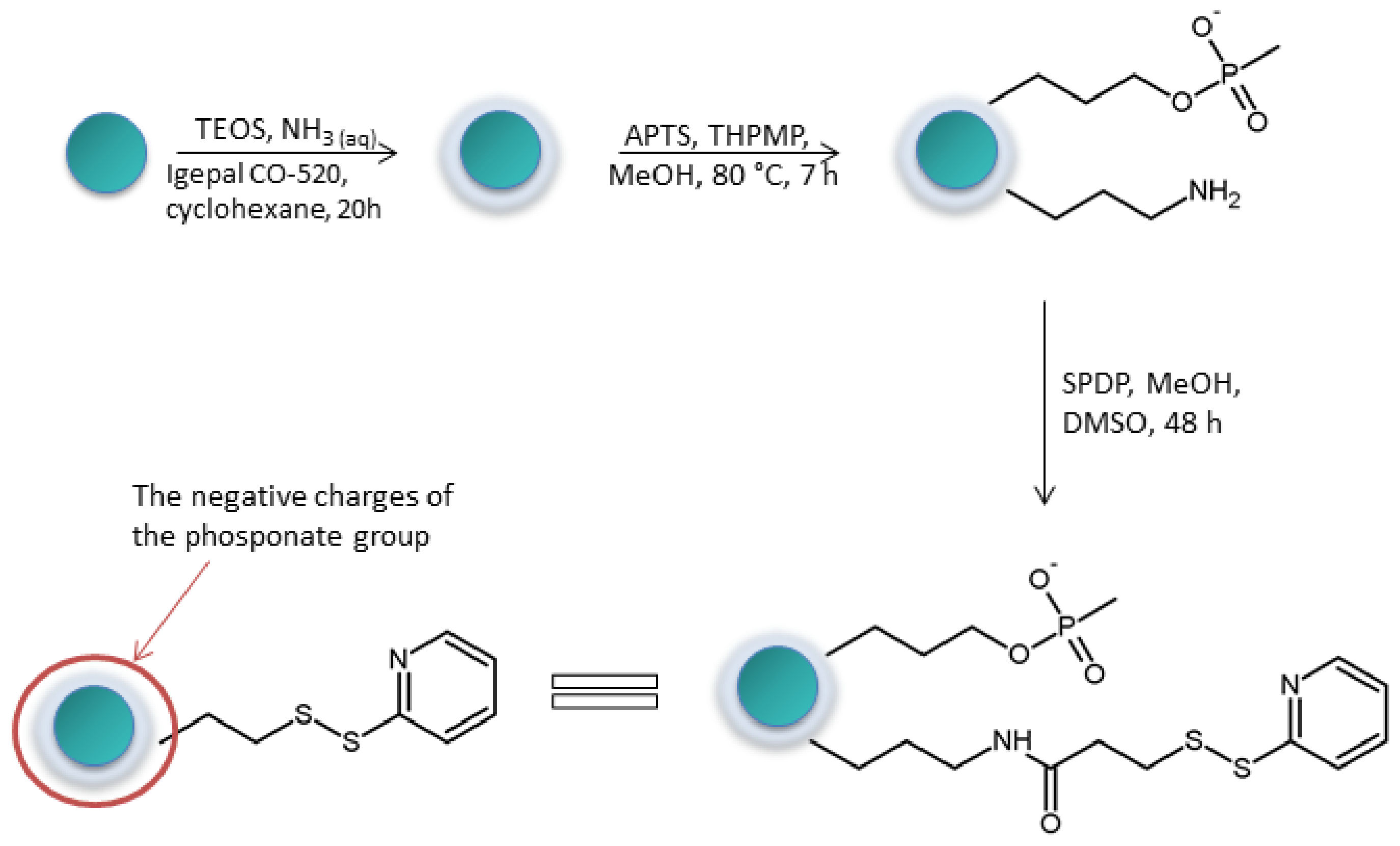 Molecules 27 01601 g006