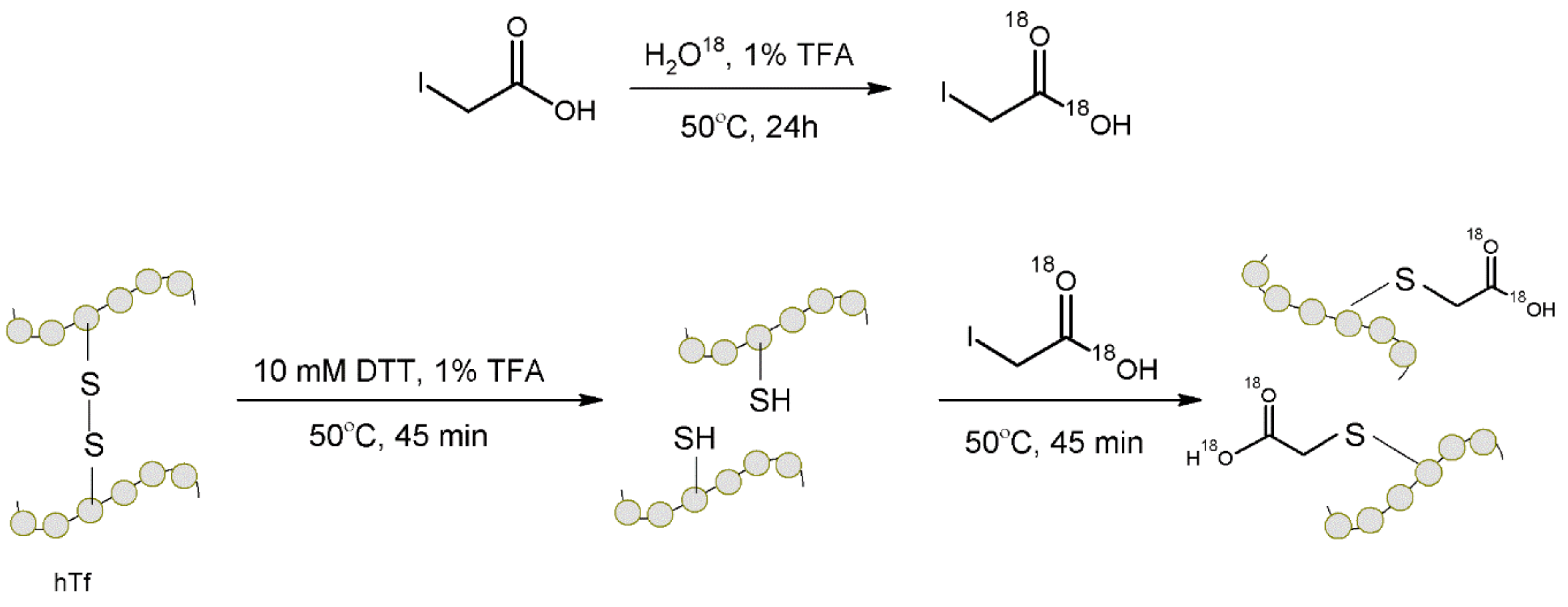 Molecules 27 01601 g012