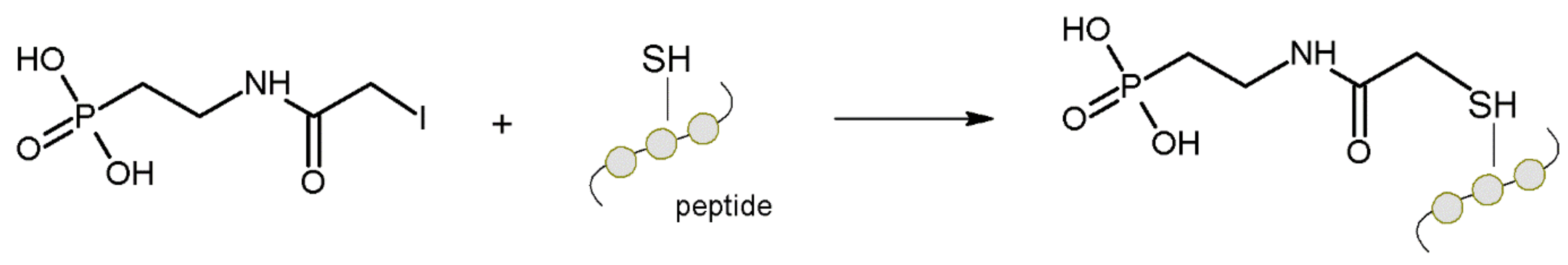 Molecules 27 01601 g013