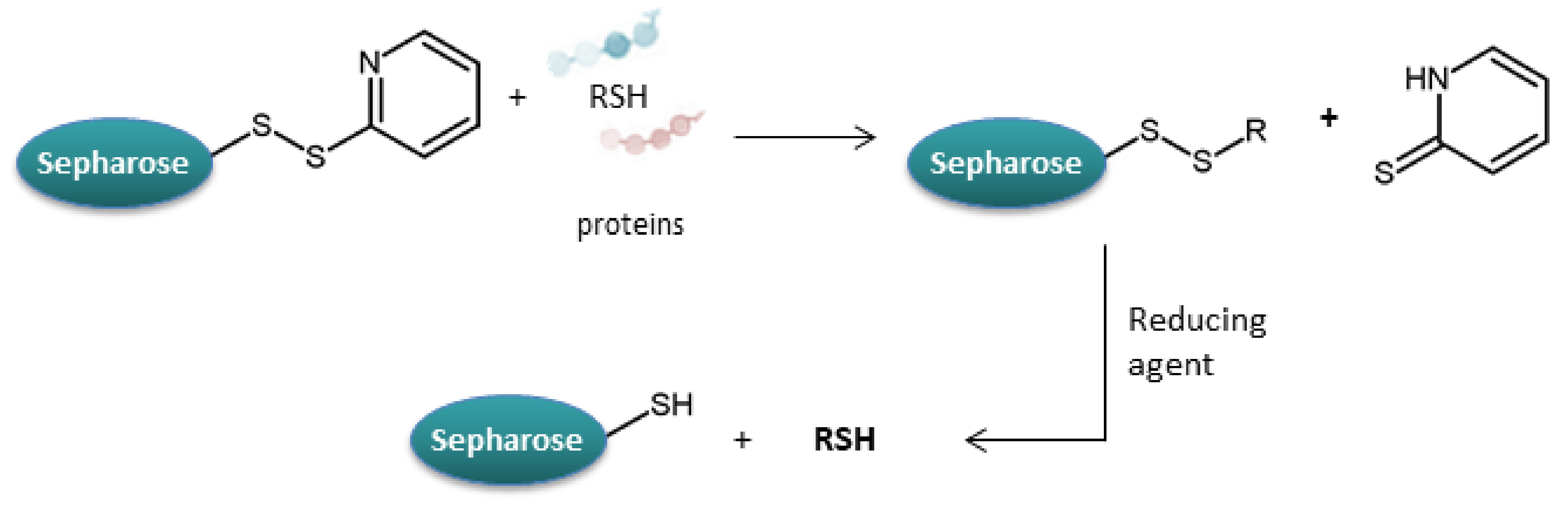 Molecules 27 01601 g015