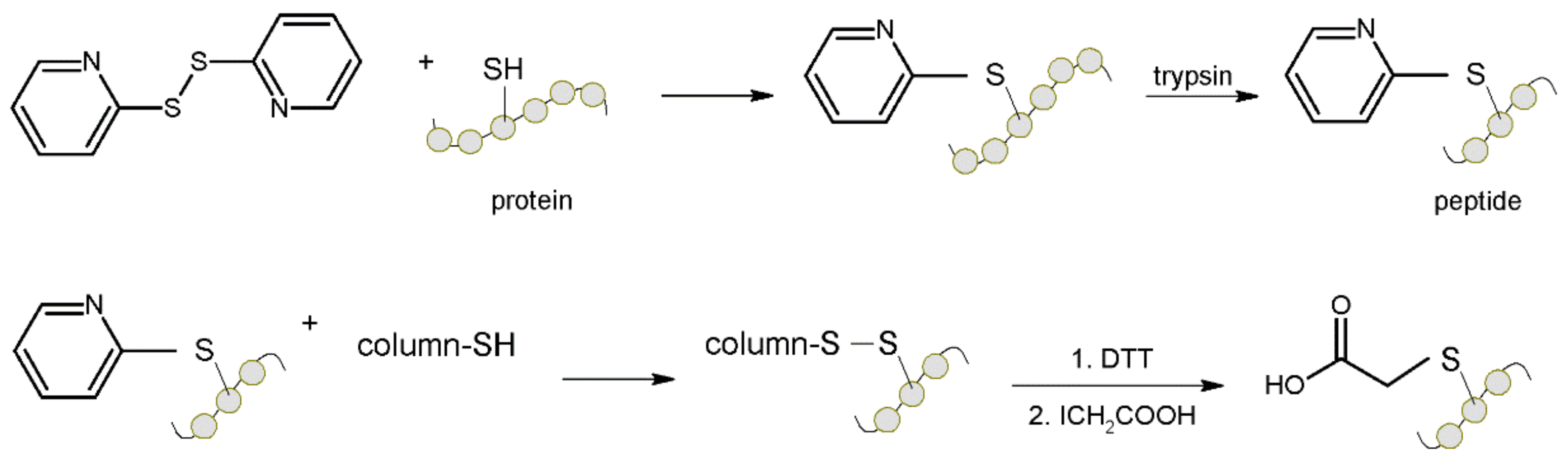 Molecules 27 01601 g016