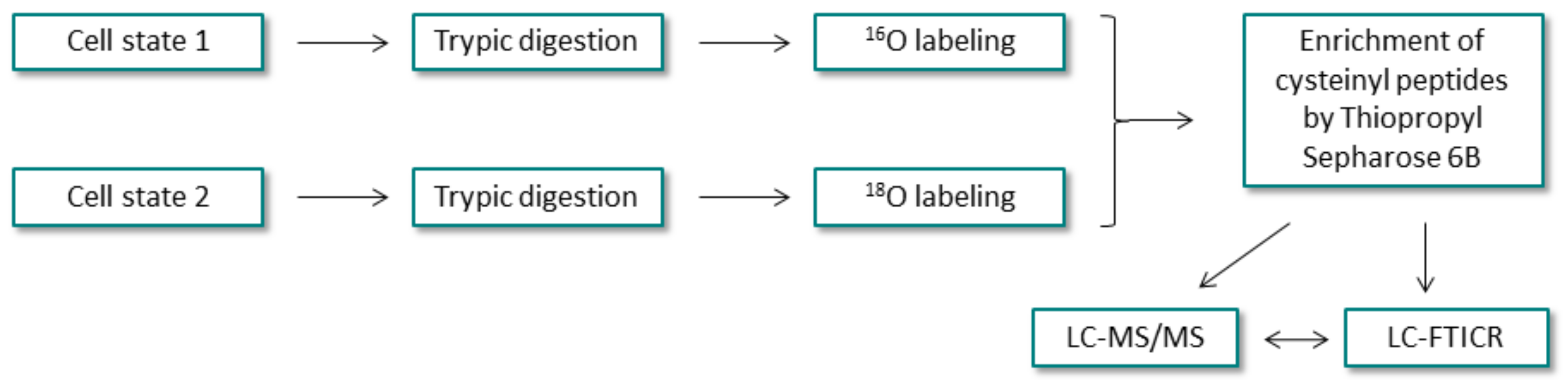 Molecules 27 01601 g017
