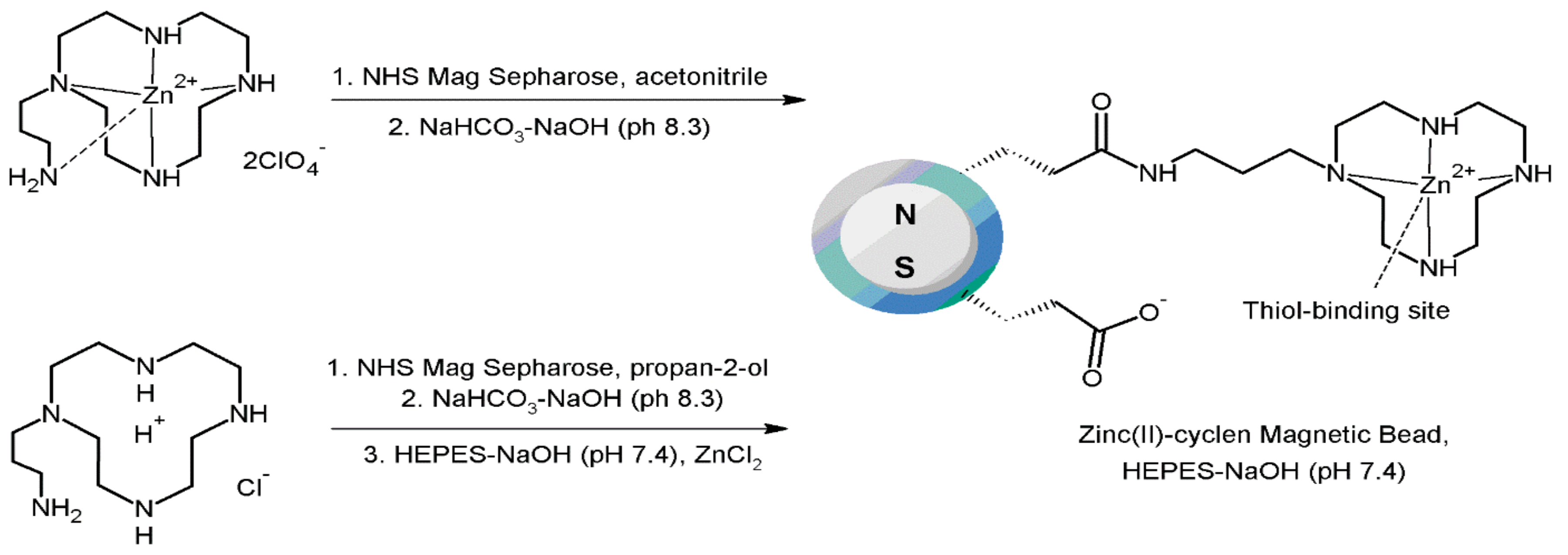 Molecules 27 01601 g021