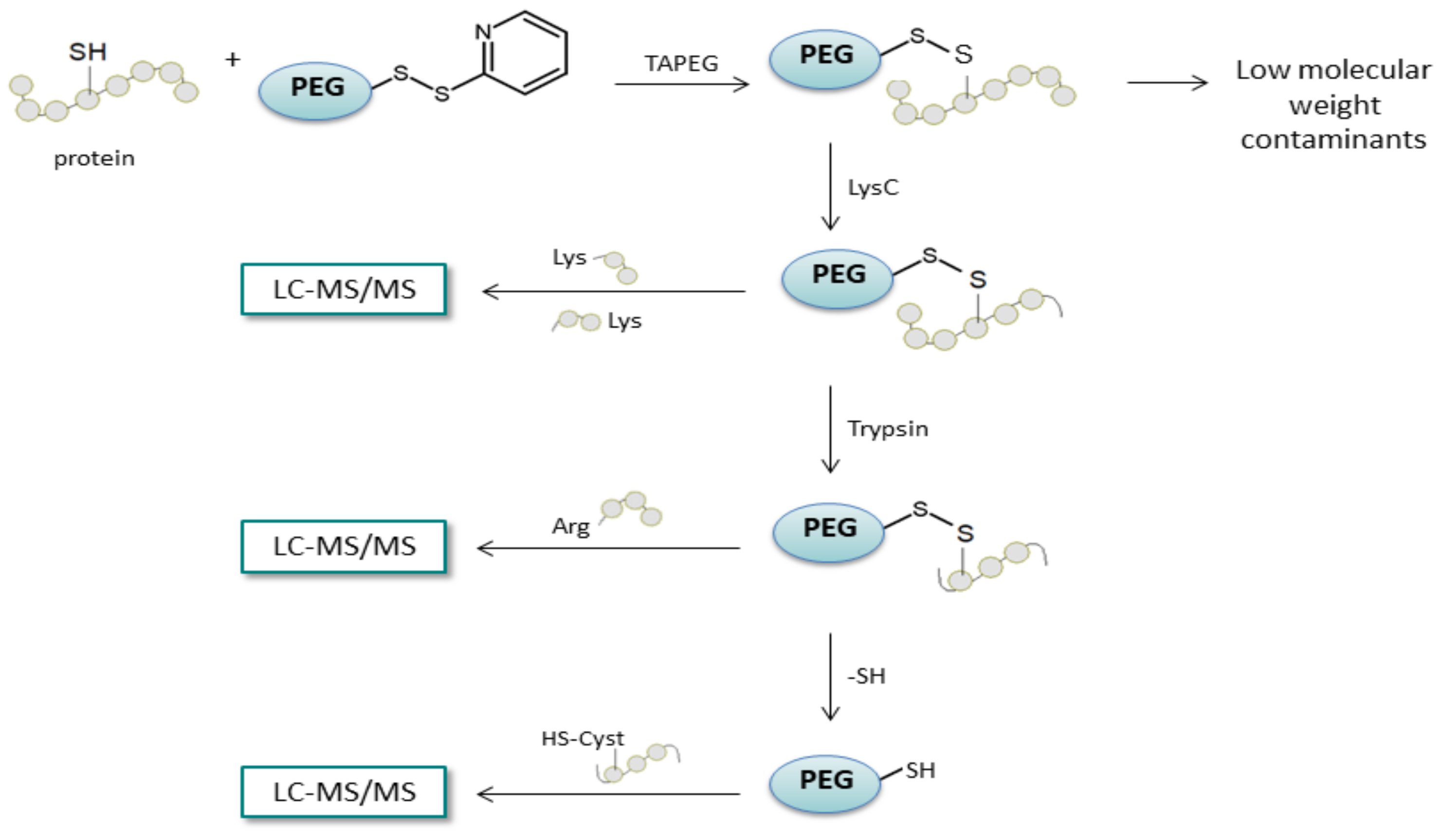 Molecules 27 01601 g022