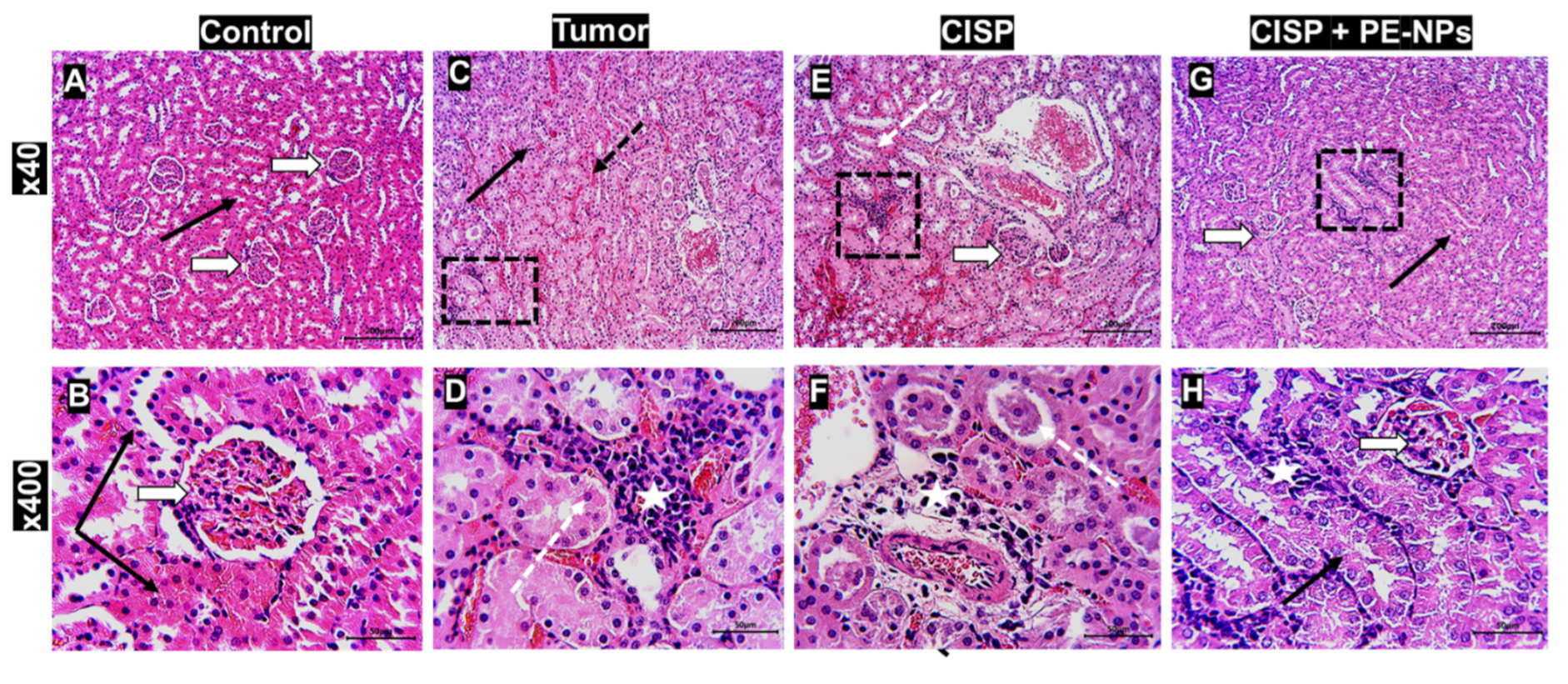 Molecules 27 01605 g005a Molecules 27 01605 g005a