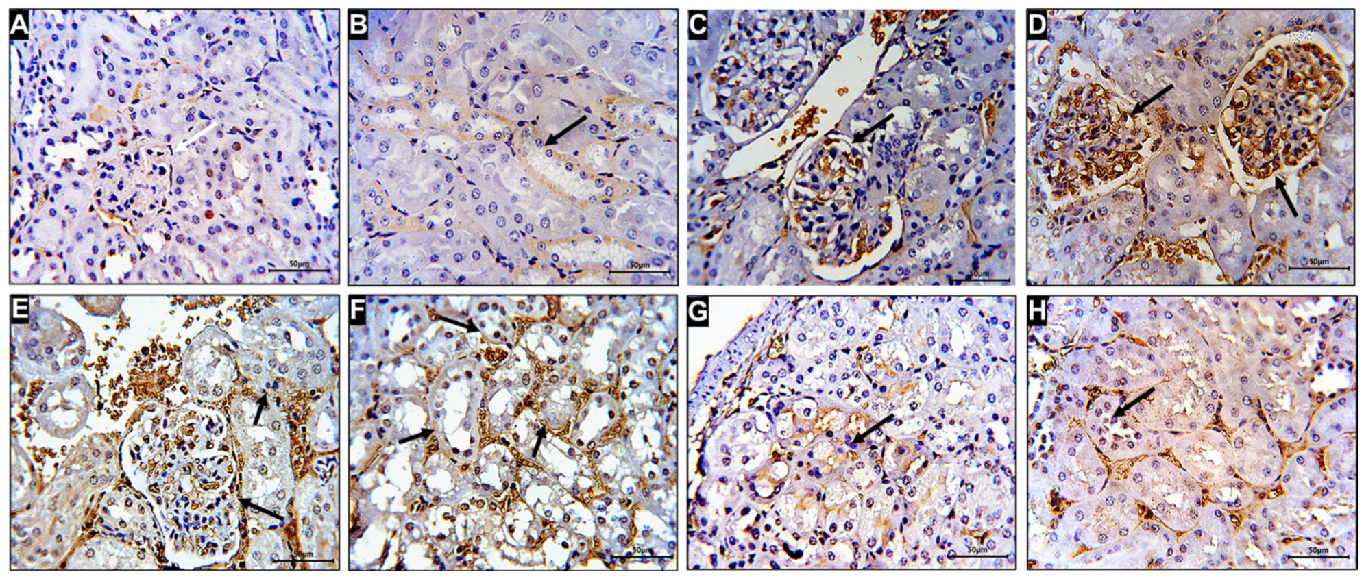 Molecules 27 01605 g006 Molecules 27 01605 g006