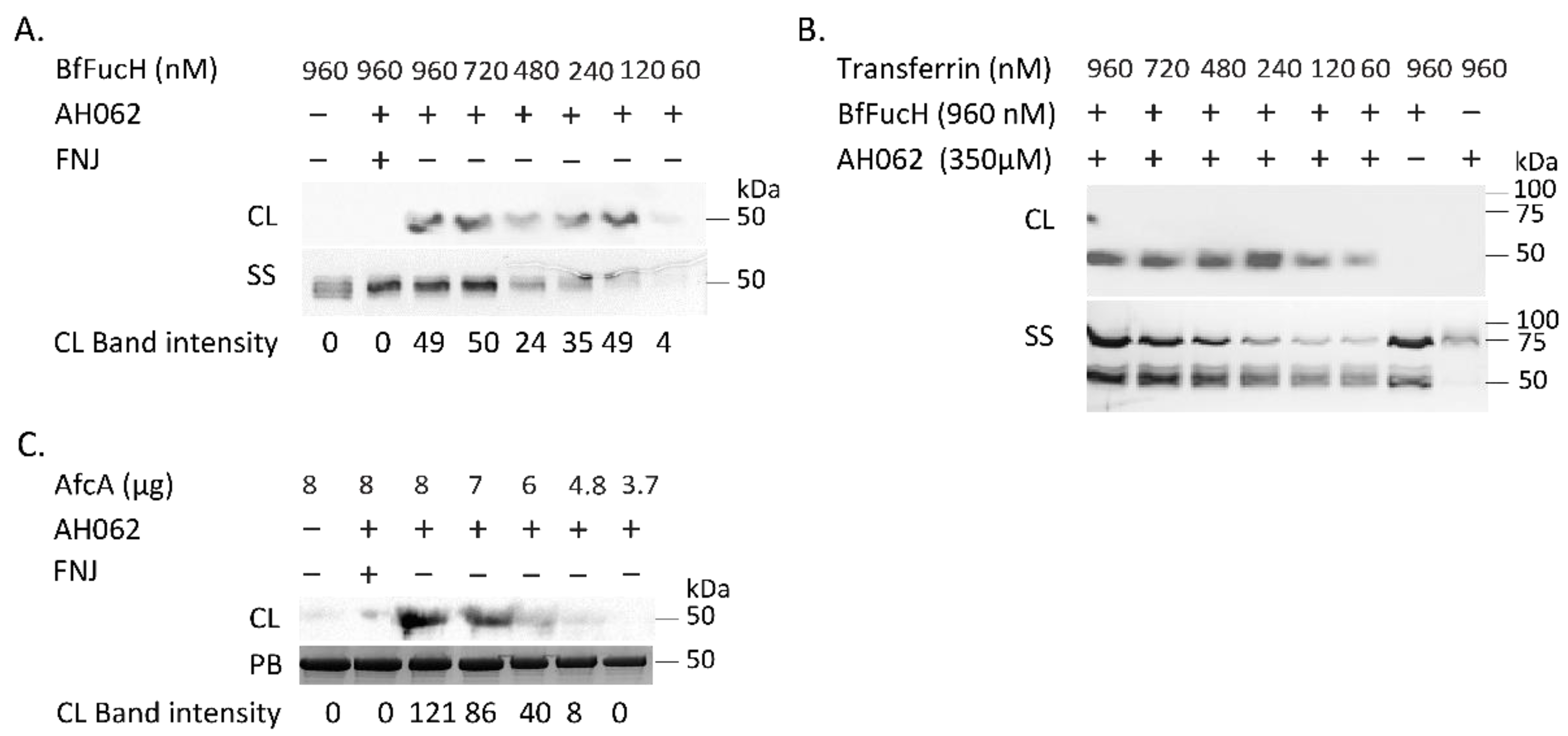 Molecules 27 01615 g001 Molecules 27 01615 g001