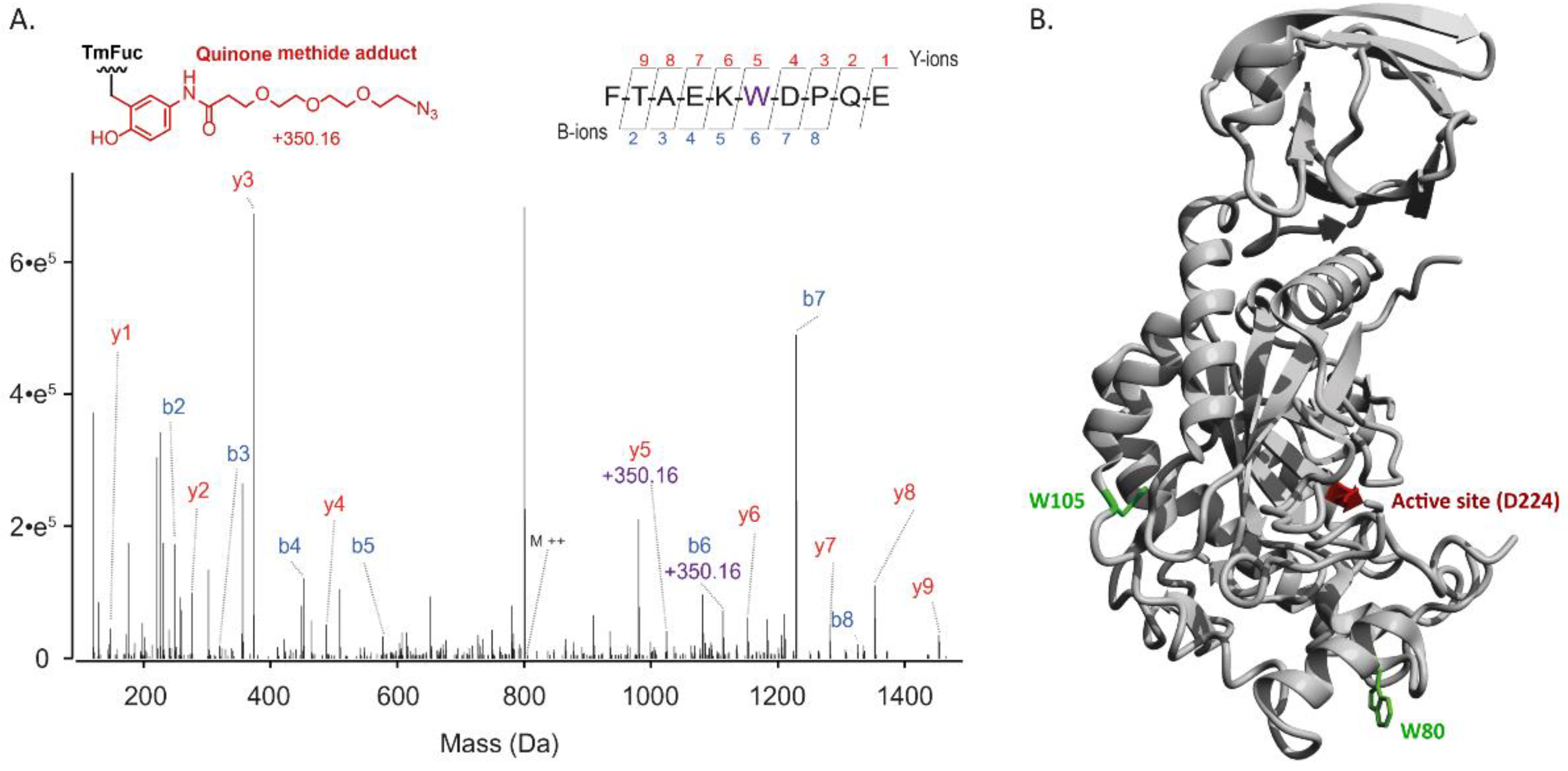 Molecules 27 01615 g002 Molecules 27 01615 g002