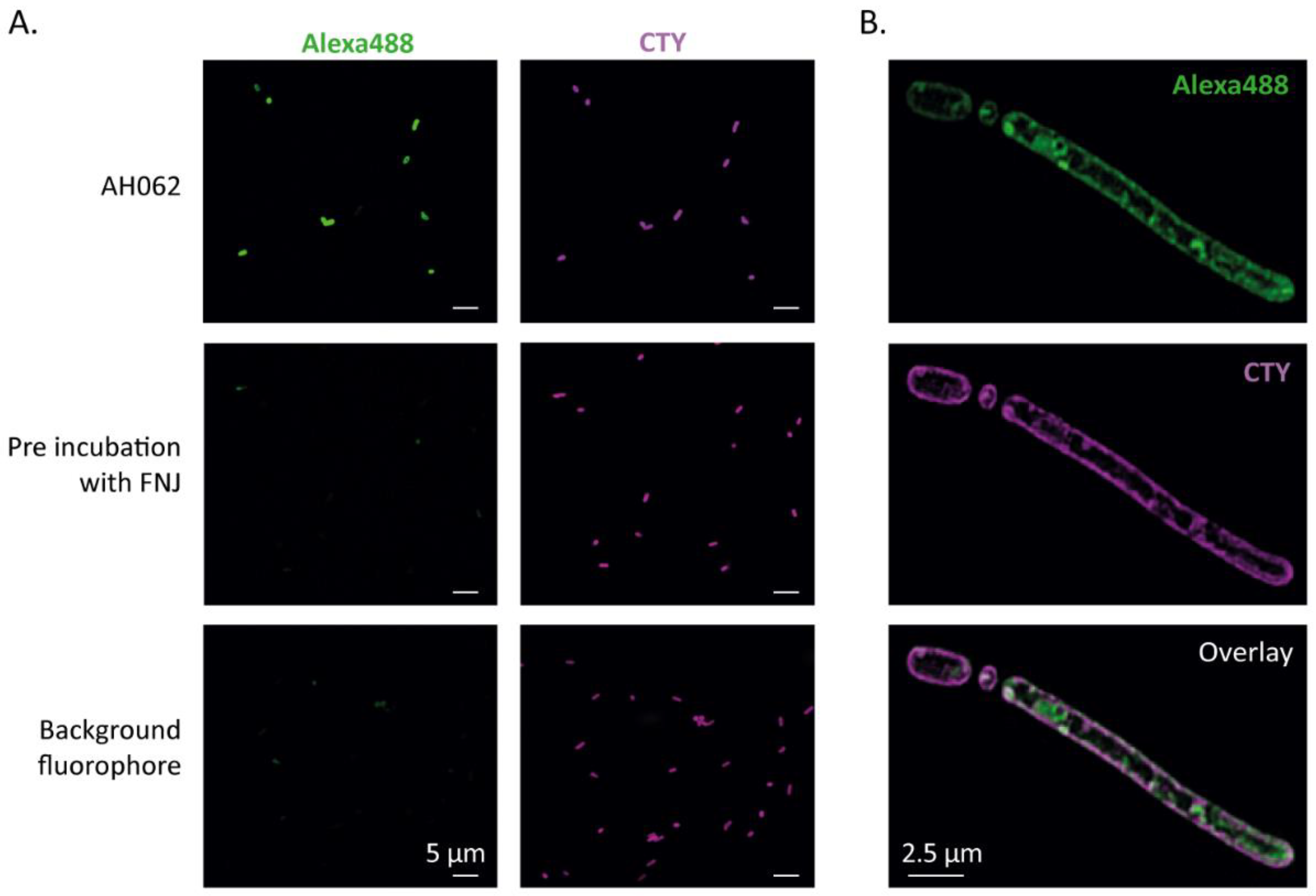 Molecules 27 01615 g003 Molecules 27 01615 g003