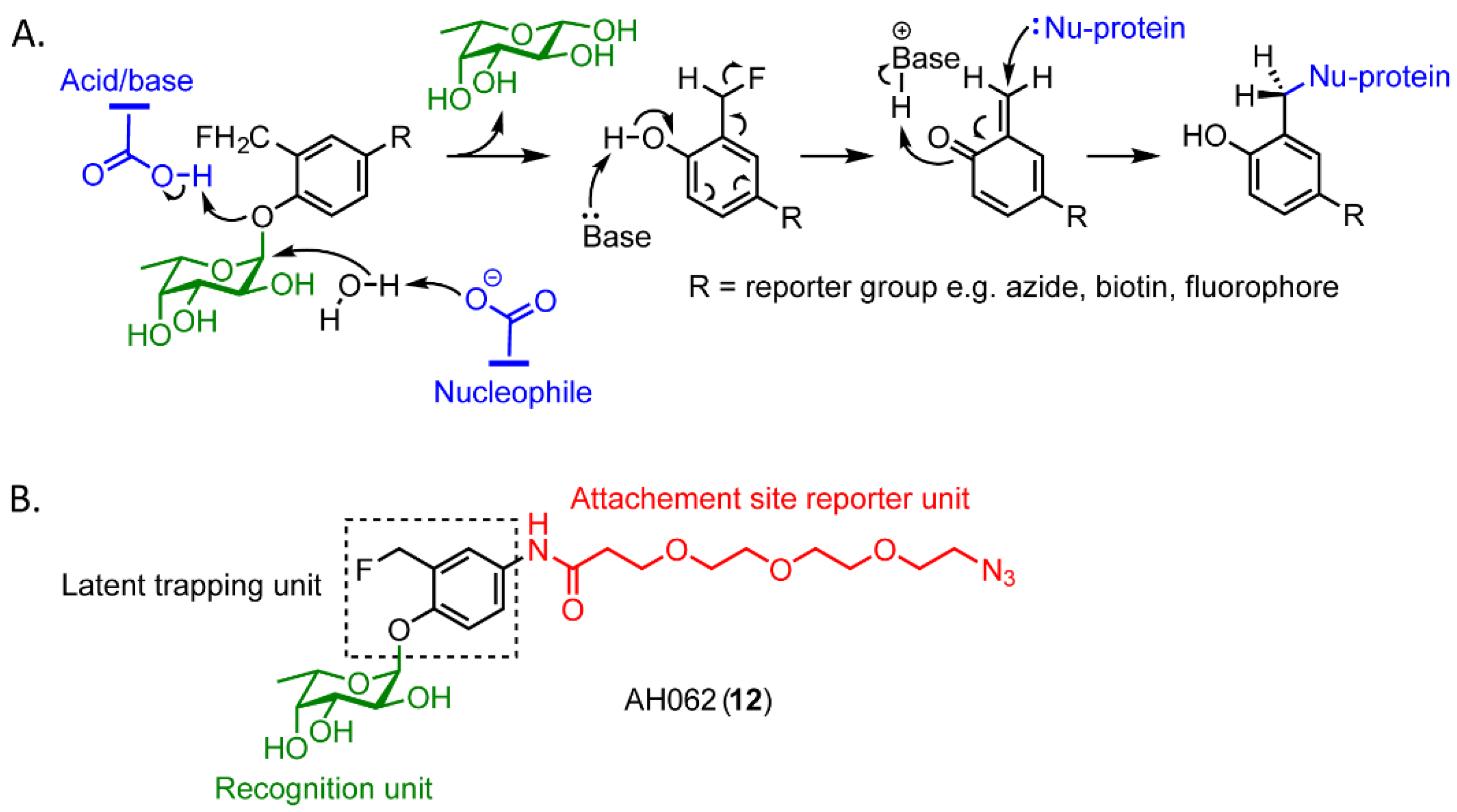 Molecules 27 01615 sch001 Molecules 27 01615 sch001