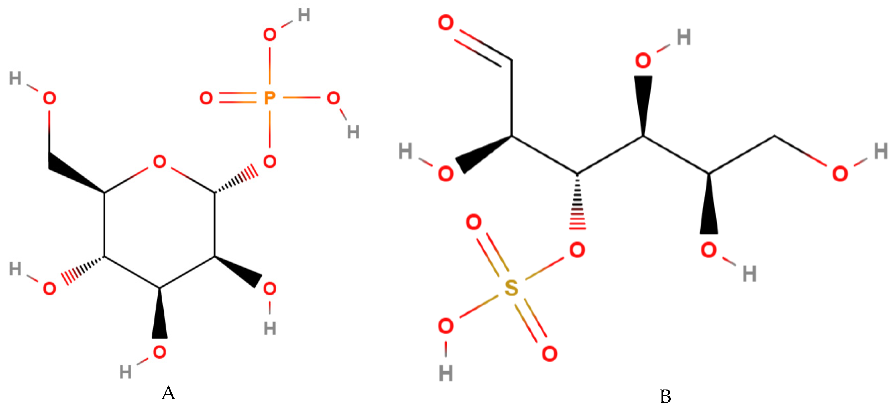 Molecules 27 01625 g005