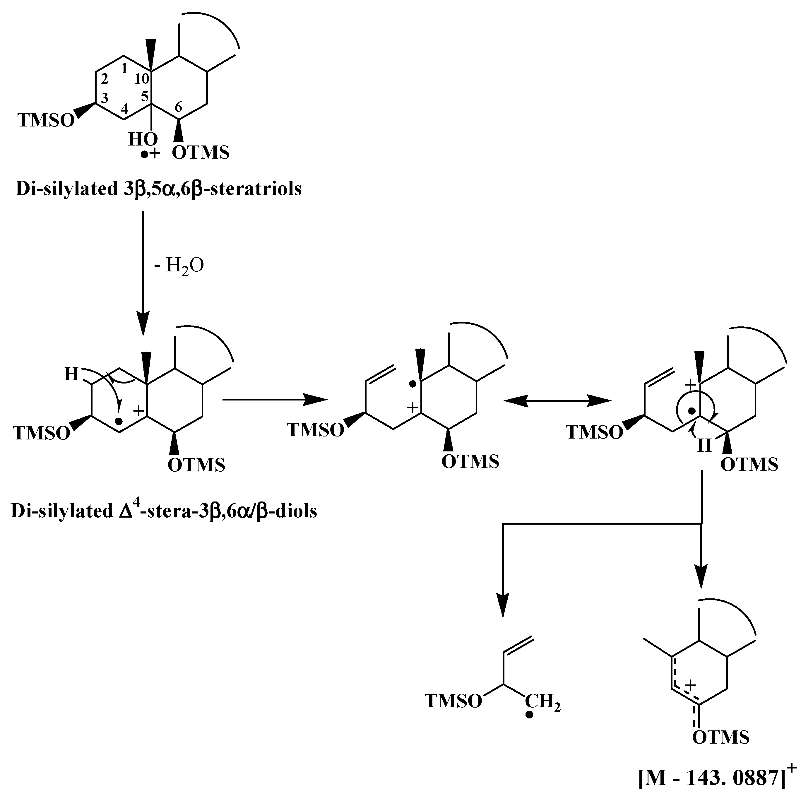 Molecules 27 01629 sch004