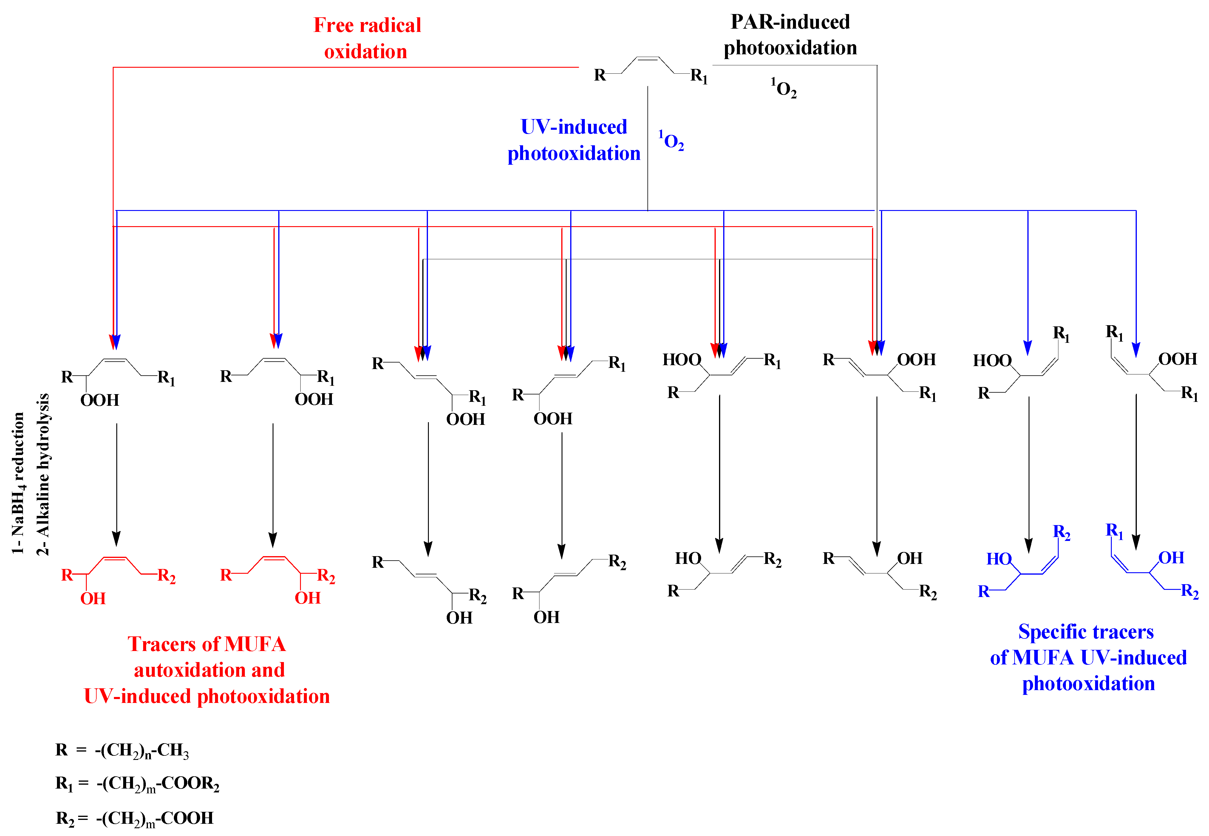 Molecules 27 01629 sch005