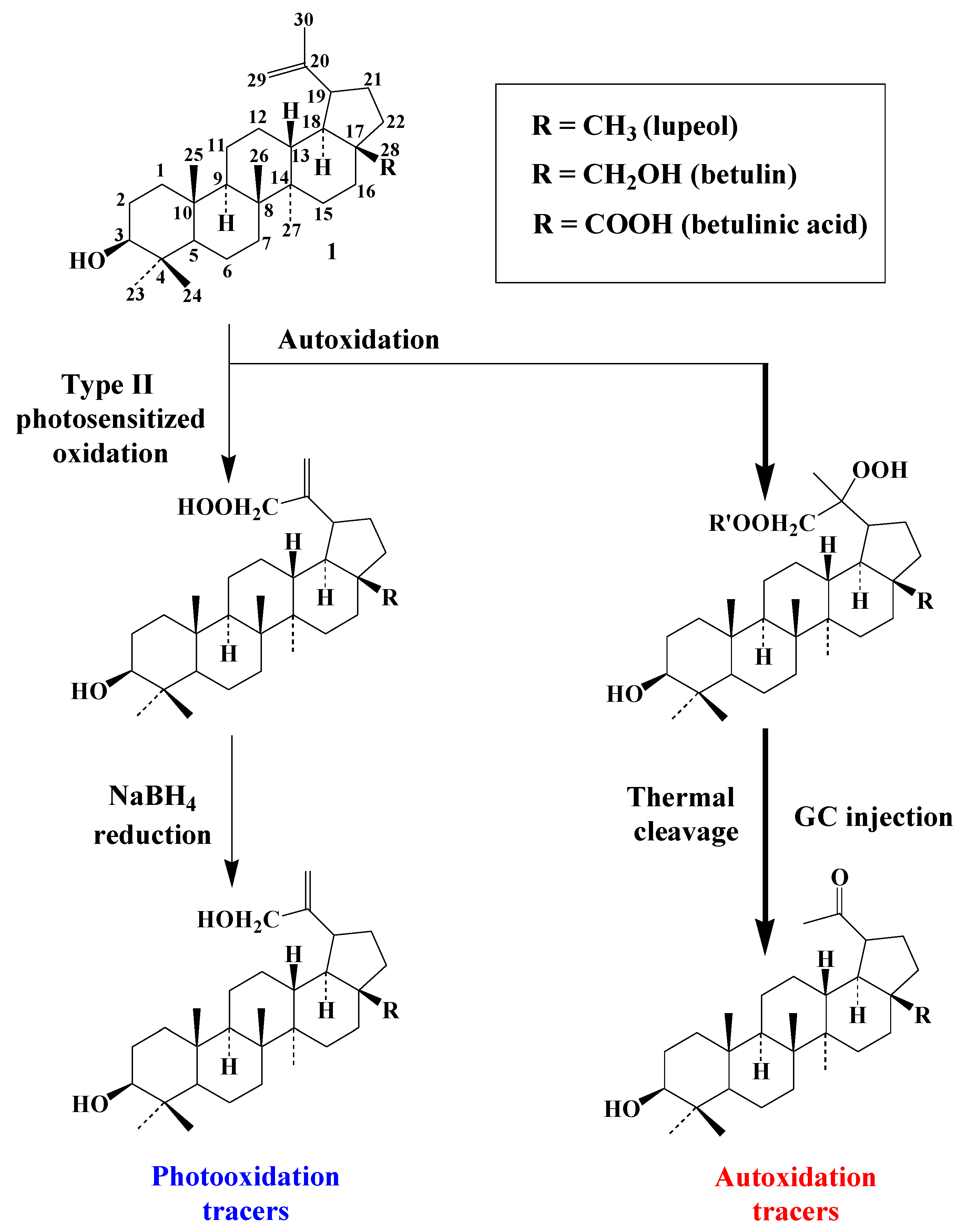 Molecules 27 01629 sch007