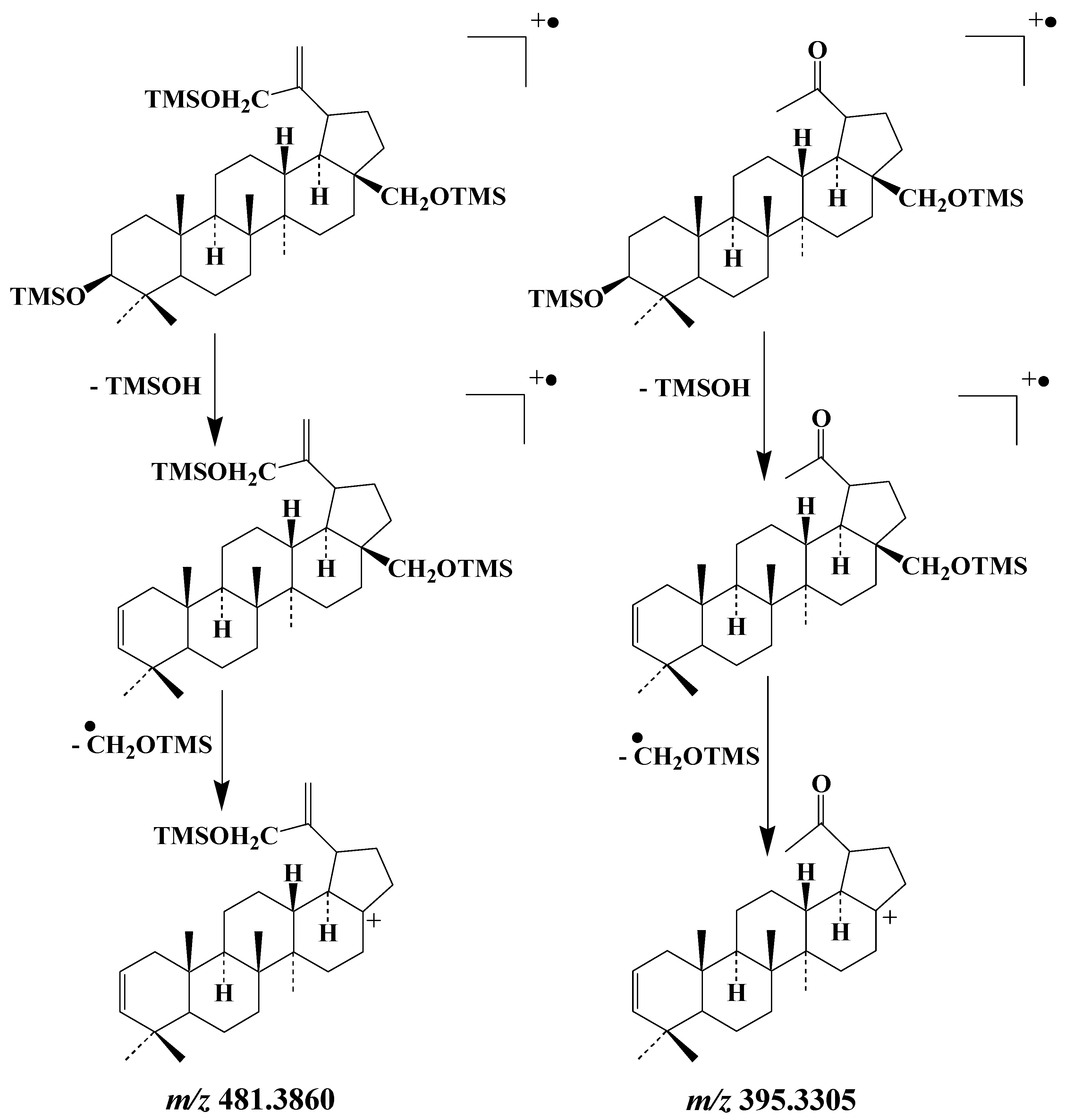 Molecules 27 01629 sch008
