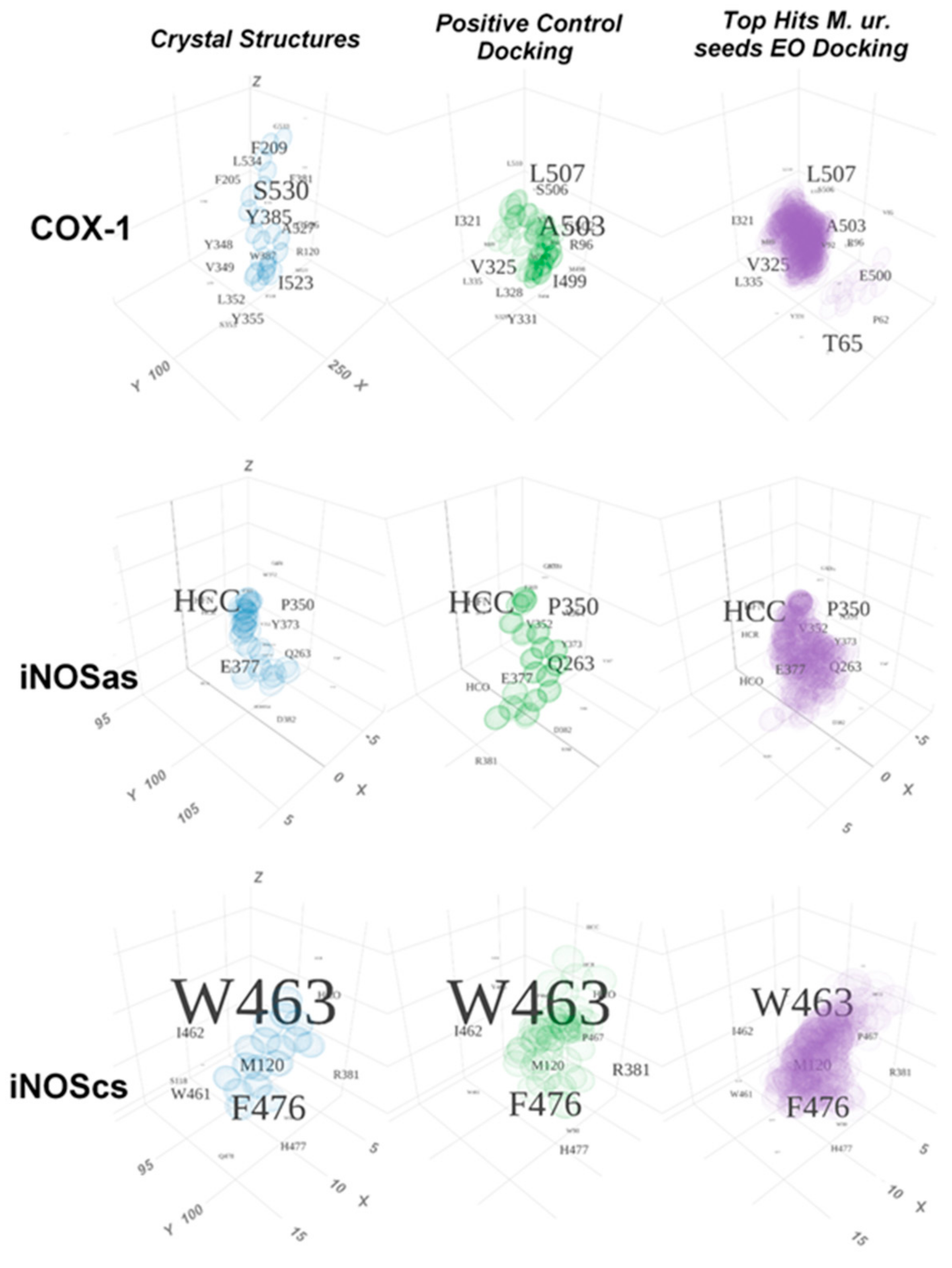 Molecules 27 01633 g008