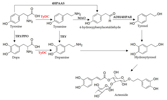 Molecules 27 01634 g001 550